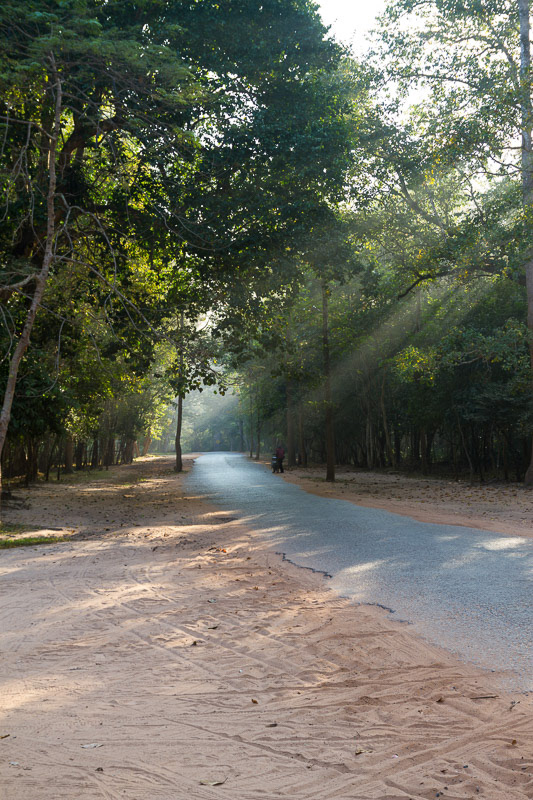 Landscapes
