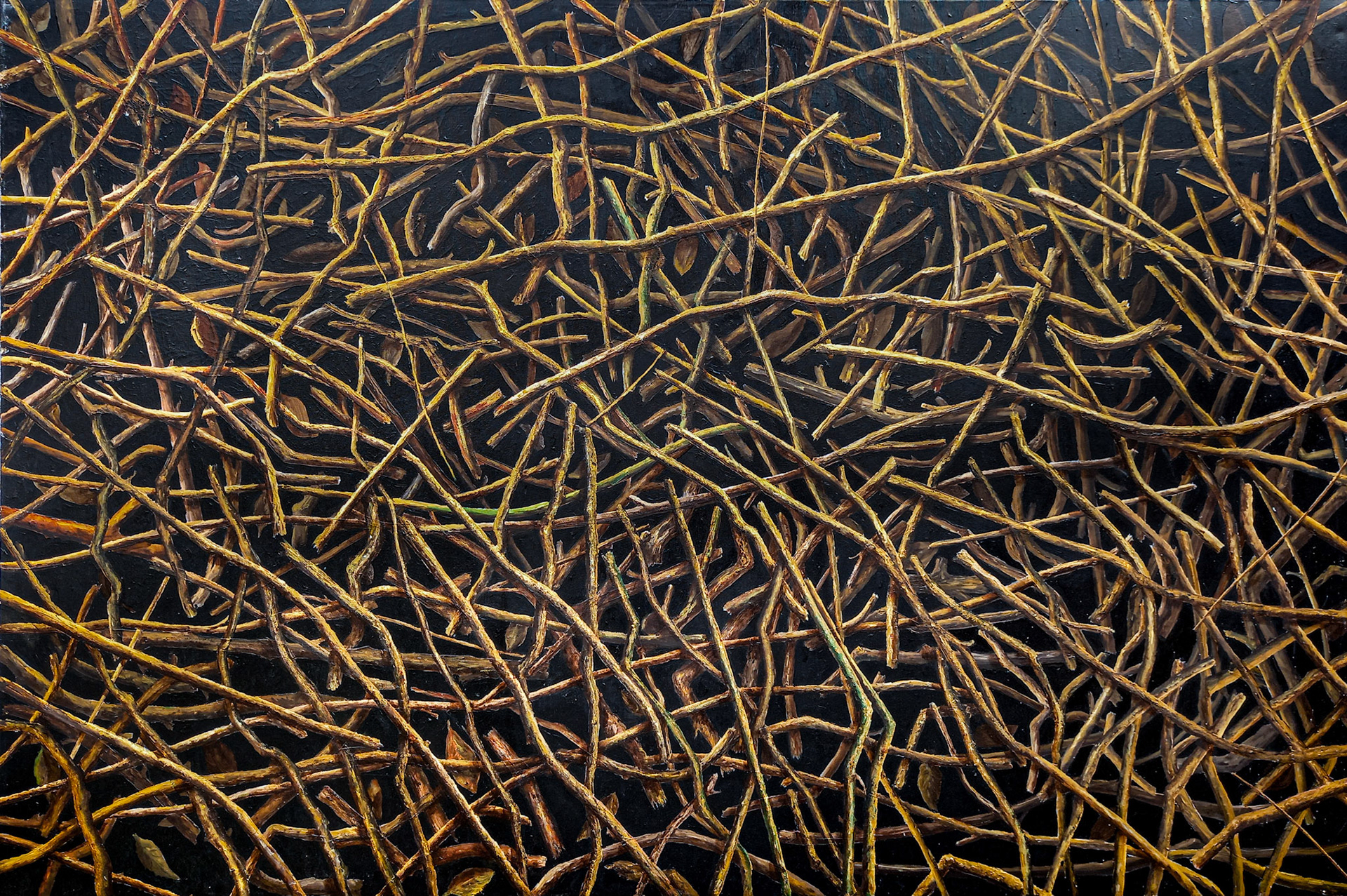 Branch Meditation 1 2012, Oil on canvas 92 x 152 x 2 cm