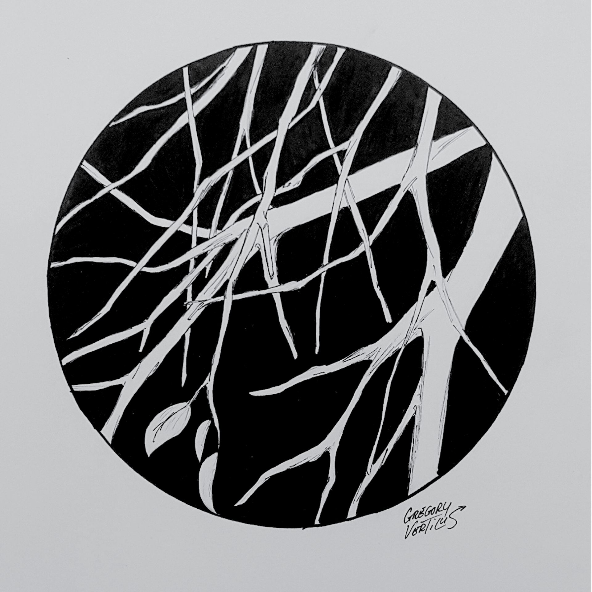 BRANCHES