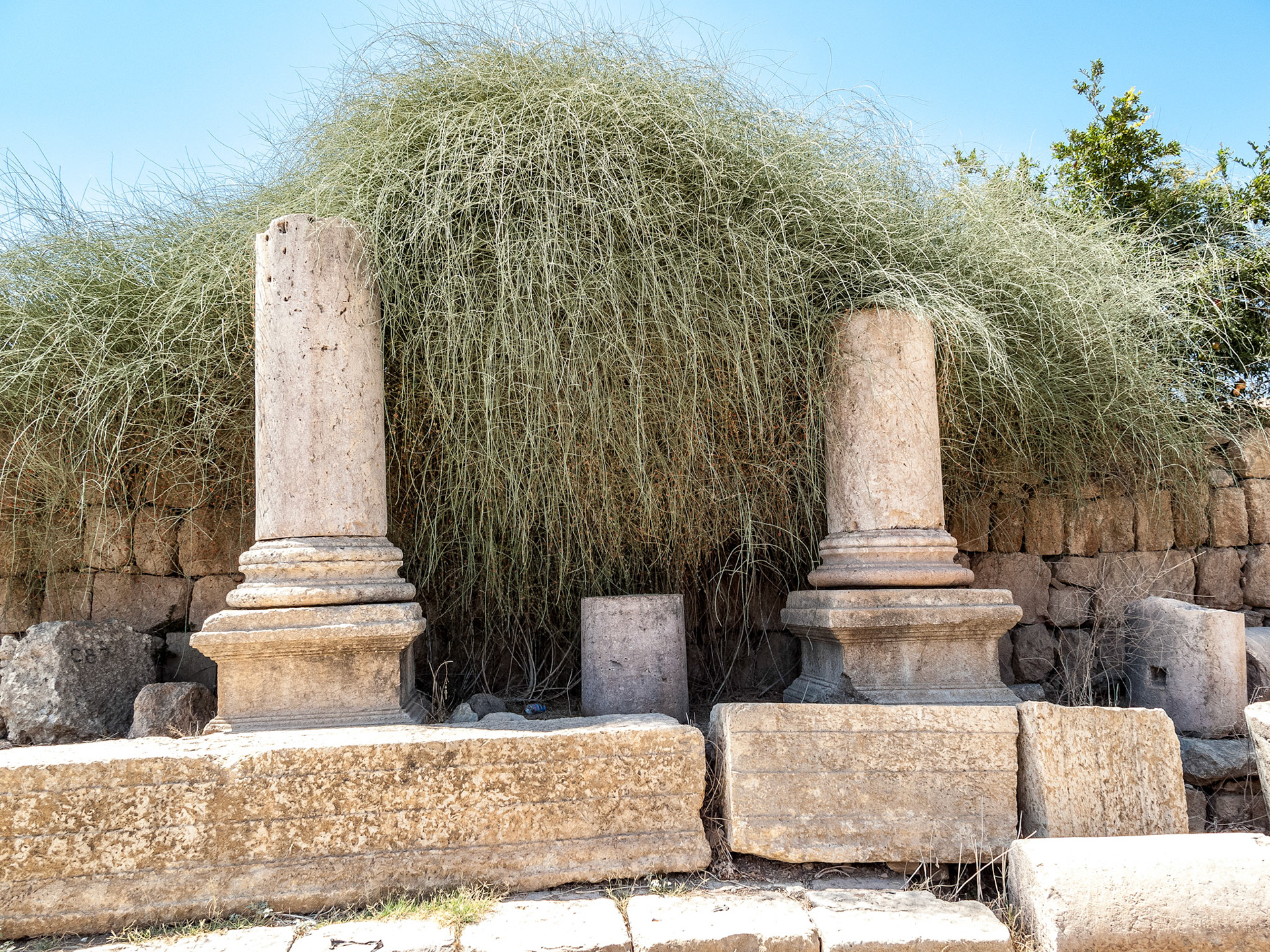 The Roman city of Gerasa, (Jerash).  August 2009