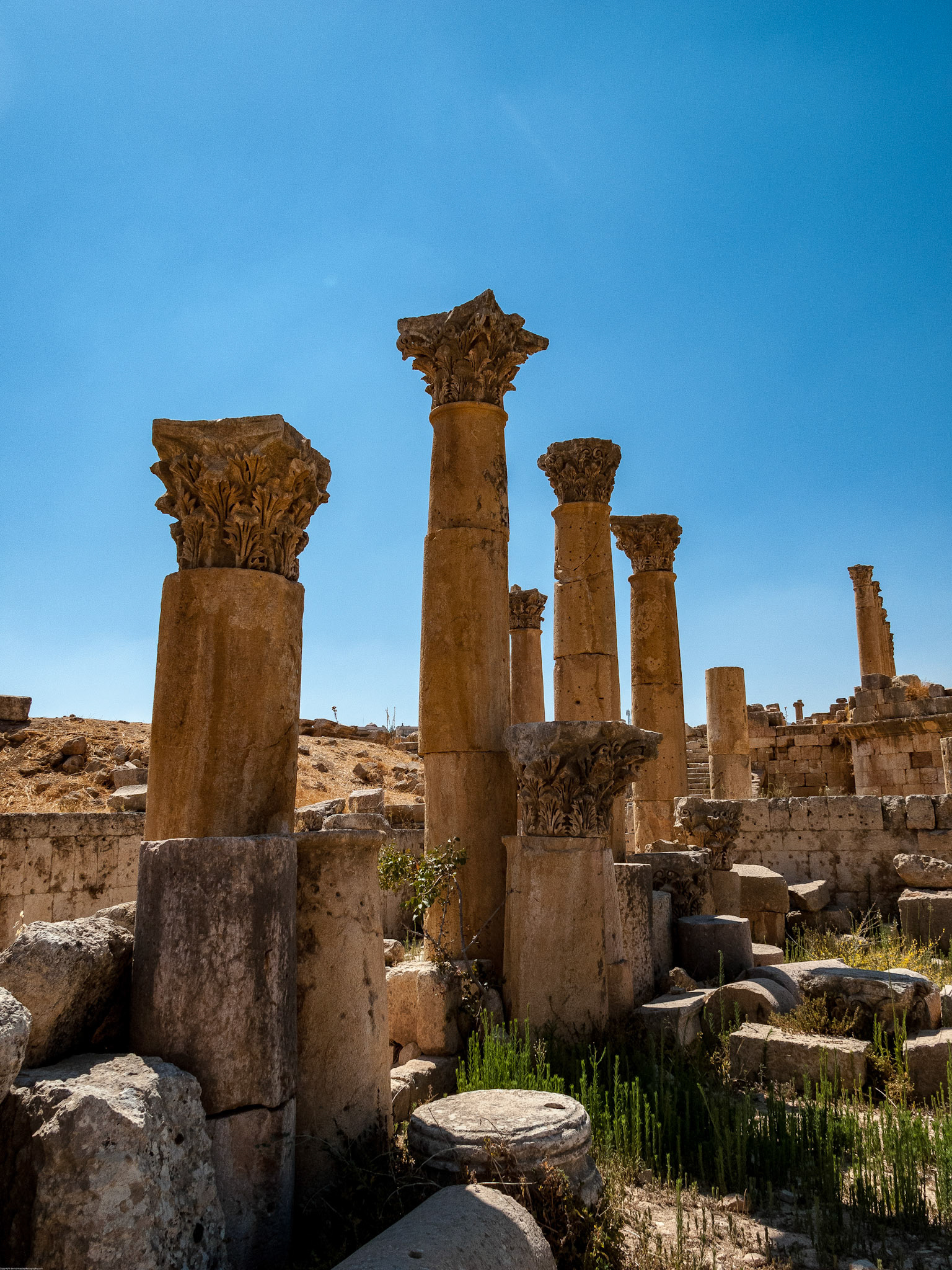 The Roman city of Gerasa, (Jerash).  August 2009