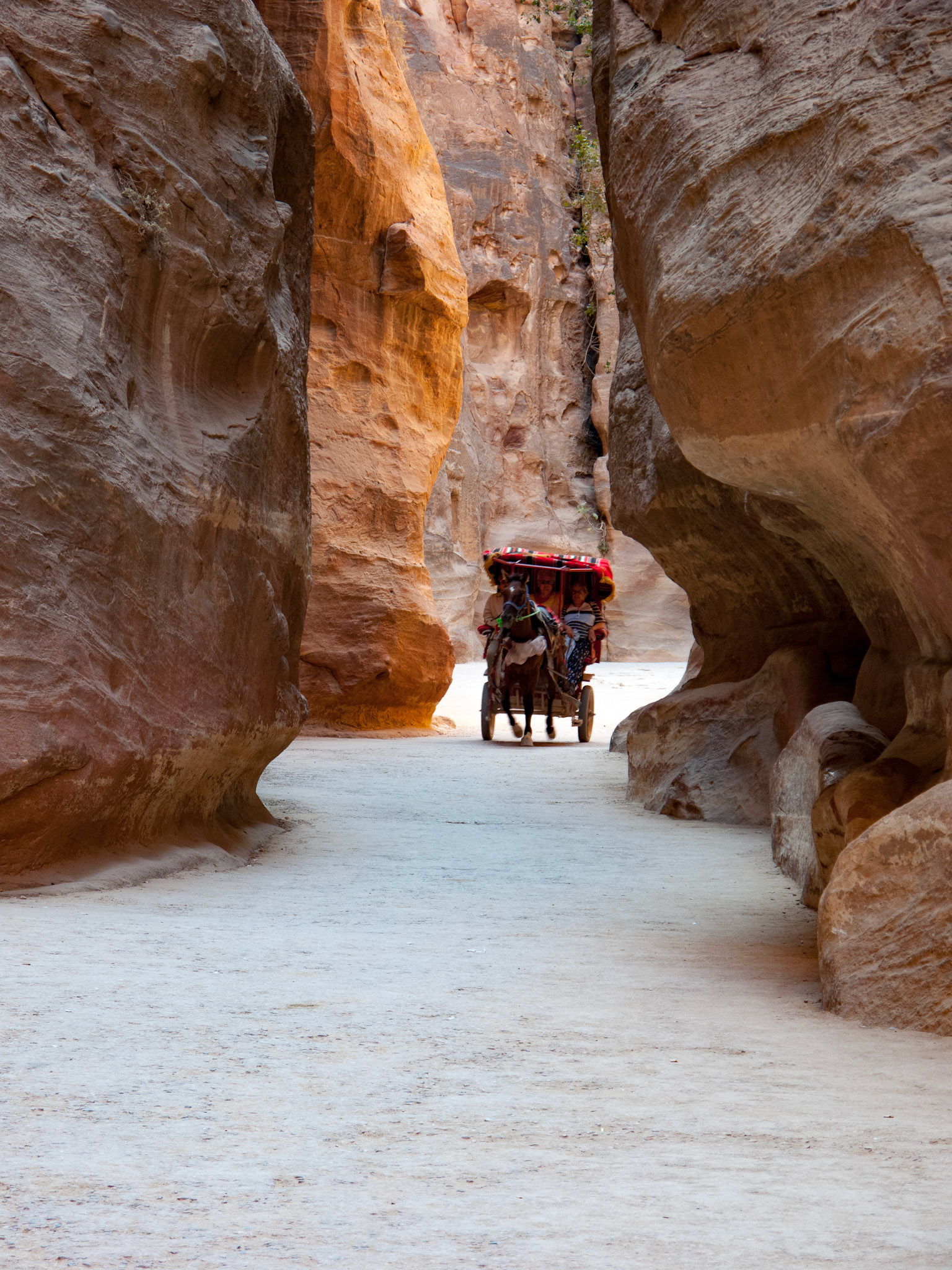 Petra, enroute to The Treasury August 2009