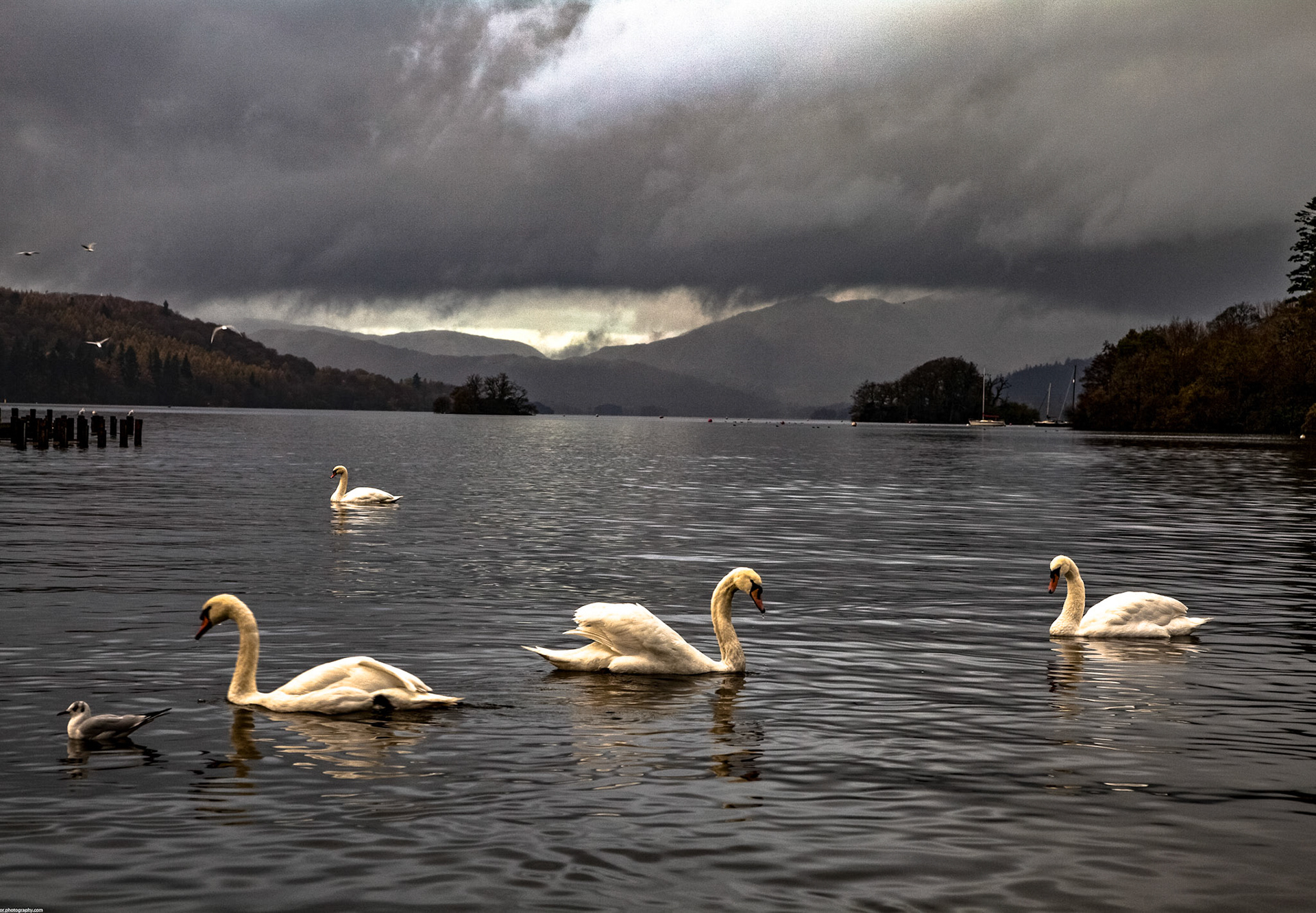 Windermere November 2009