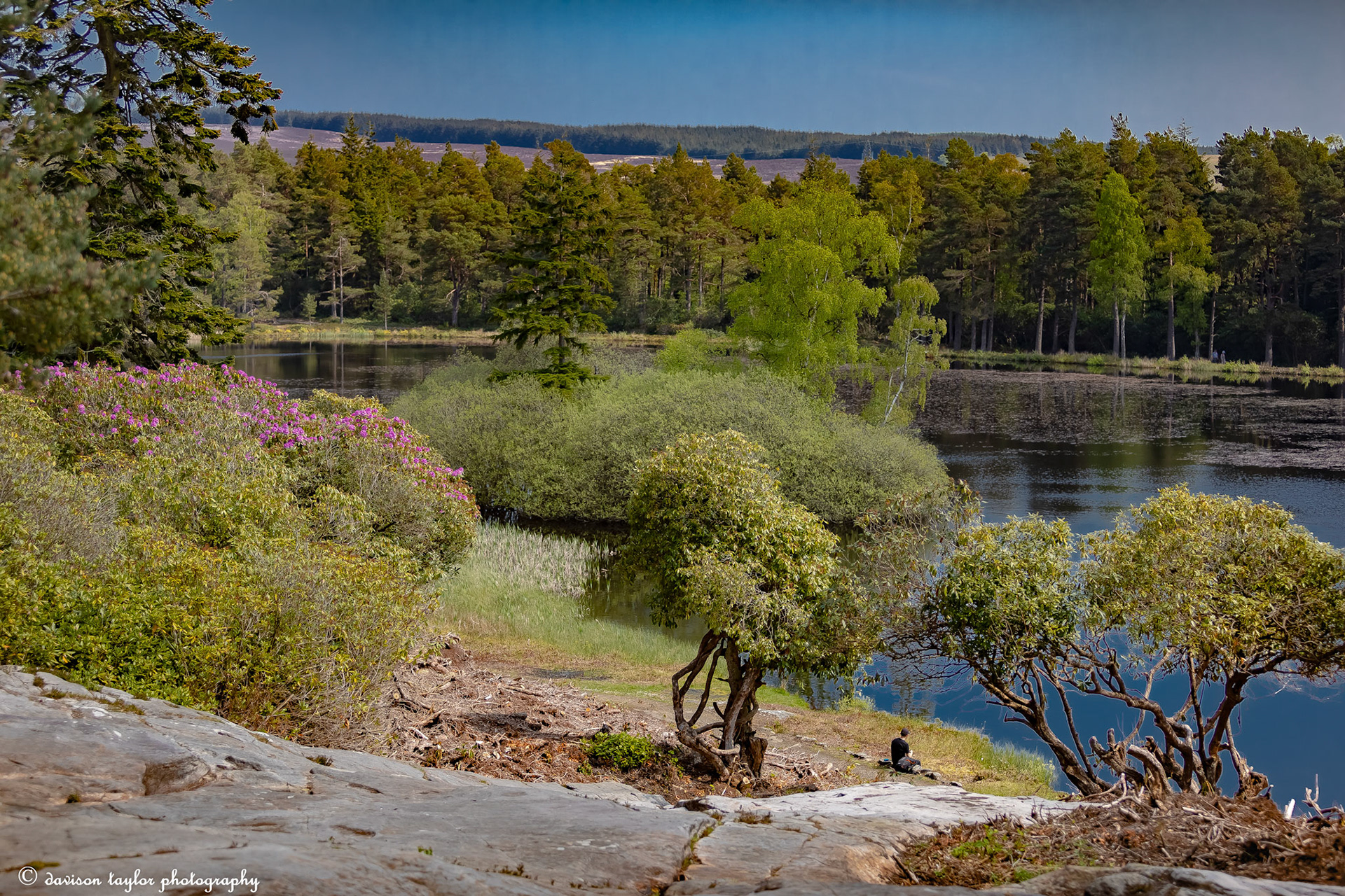 The view looking over Nelly's Moss North Lake