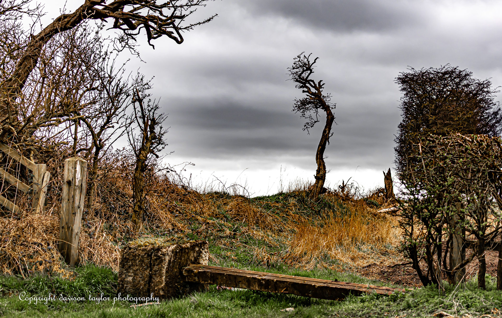On farmland near Sherburn Village