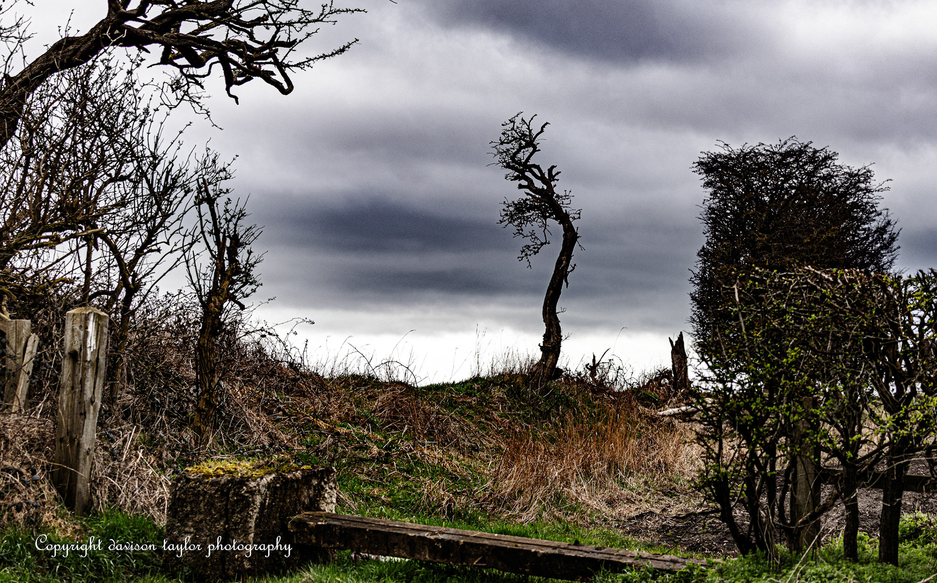 On farmland near Sherburn Village
