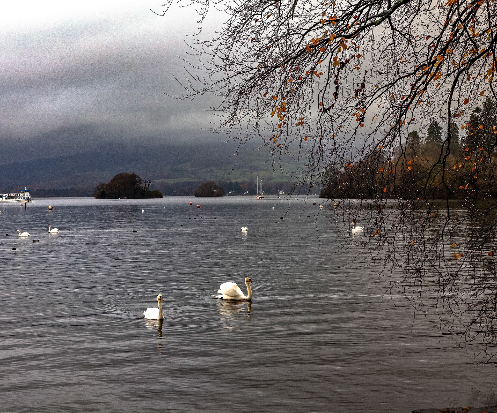 Windermere November 2009