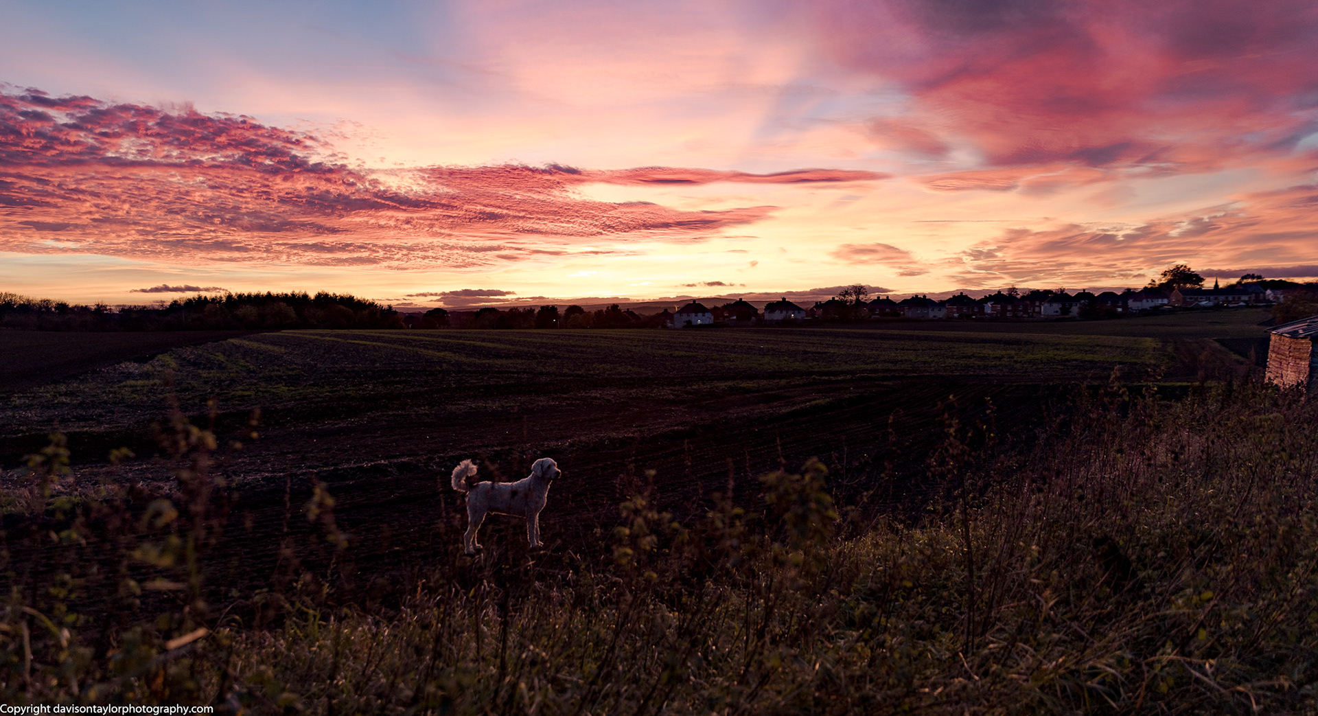 Sunset over Sherburn