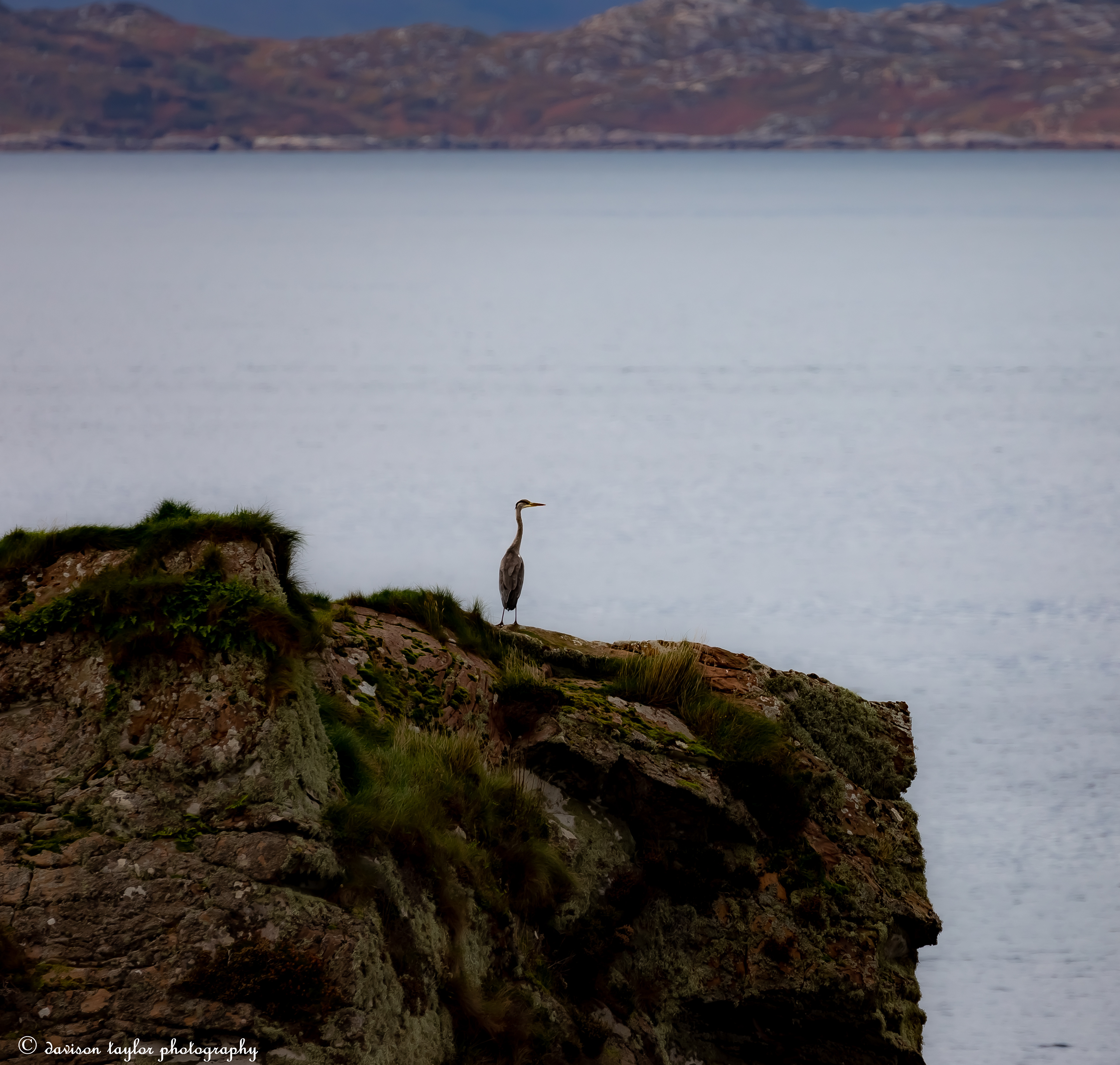 look right, (and cross)