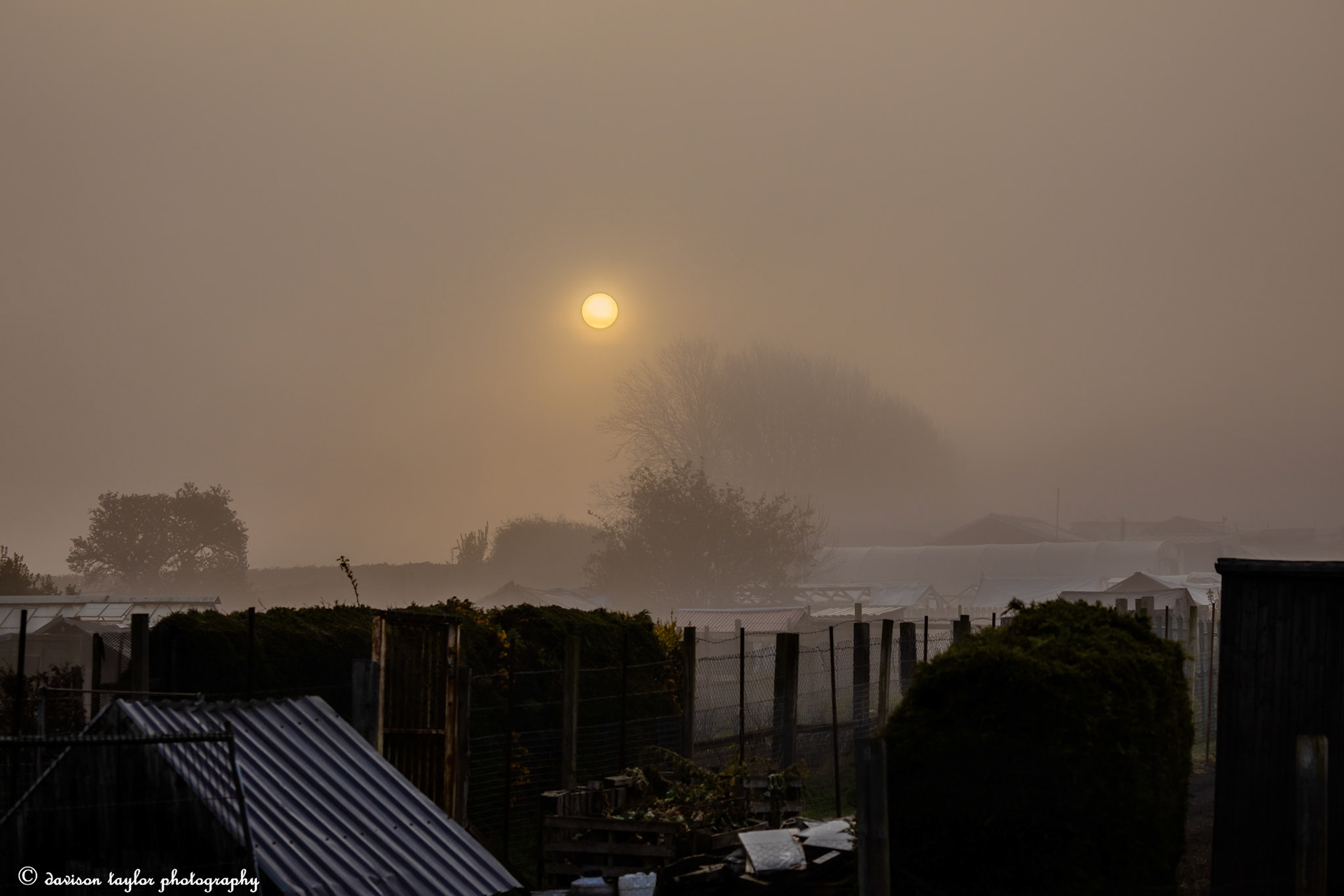 Sunrise burning through over the allotments