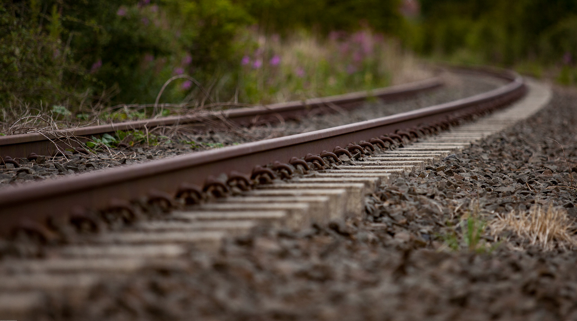 The old colliery line near to Sherburn Village, all gone now.