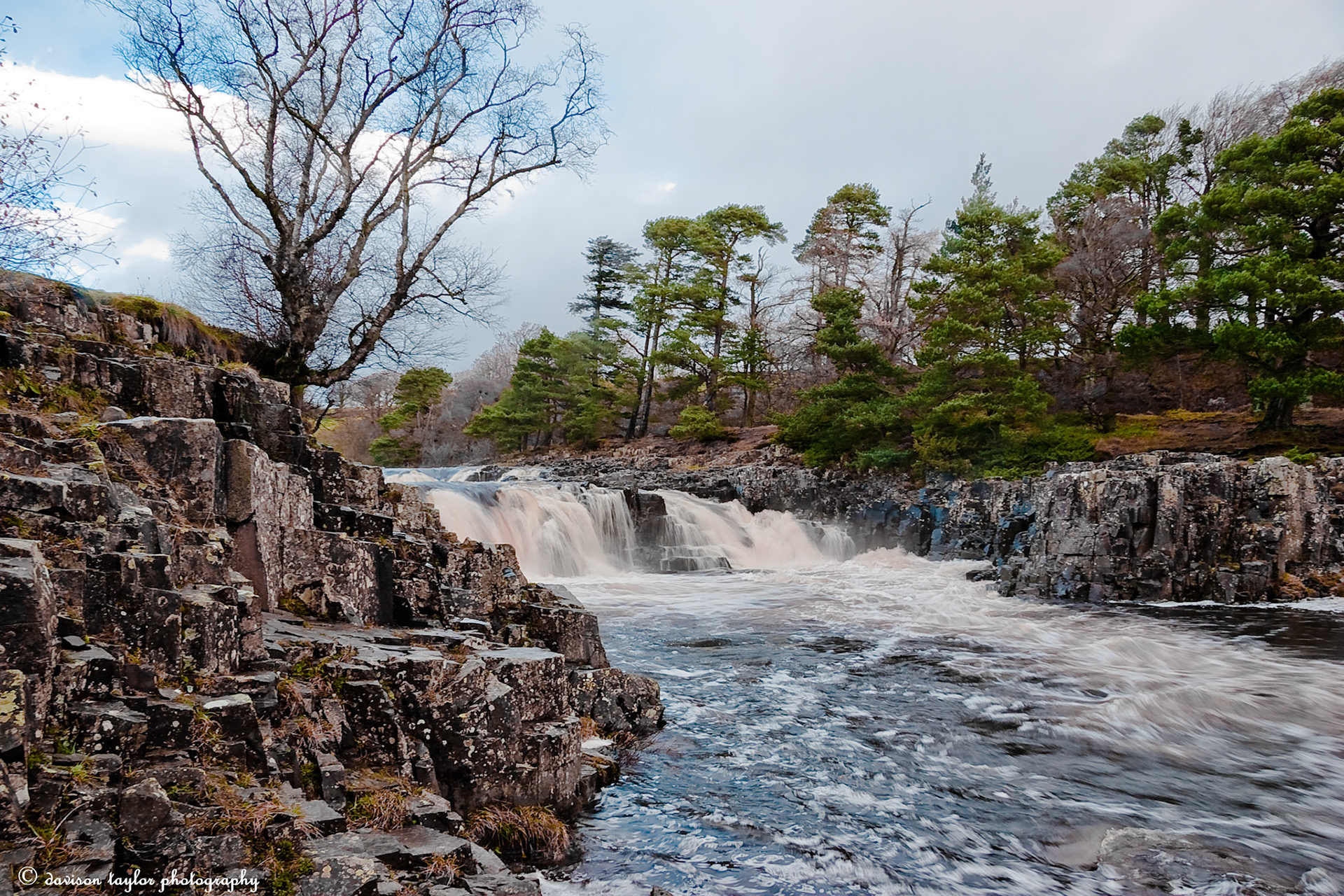 Low Force