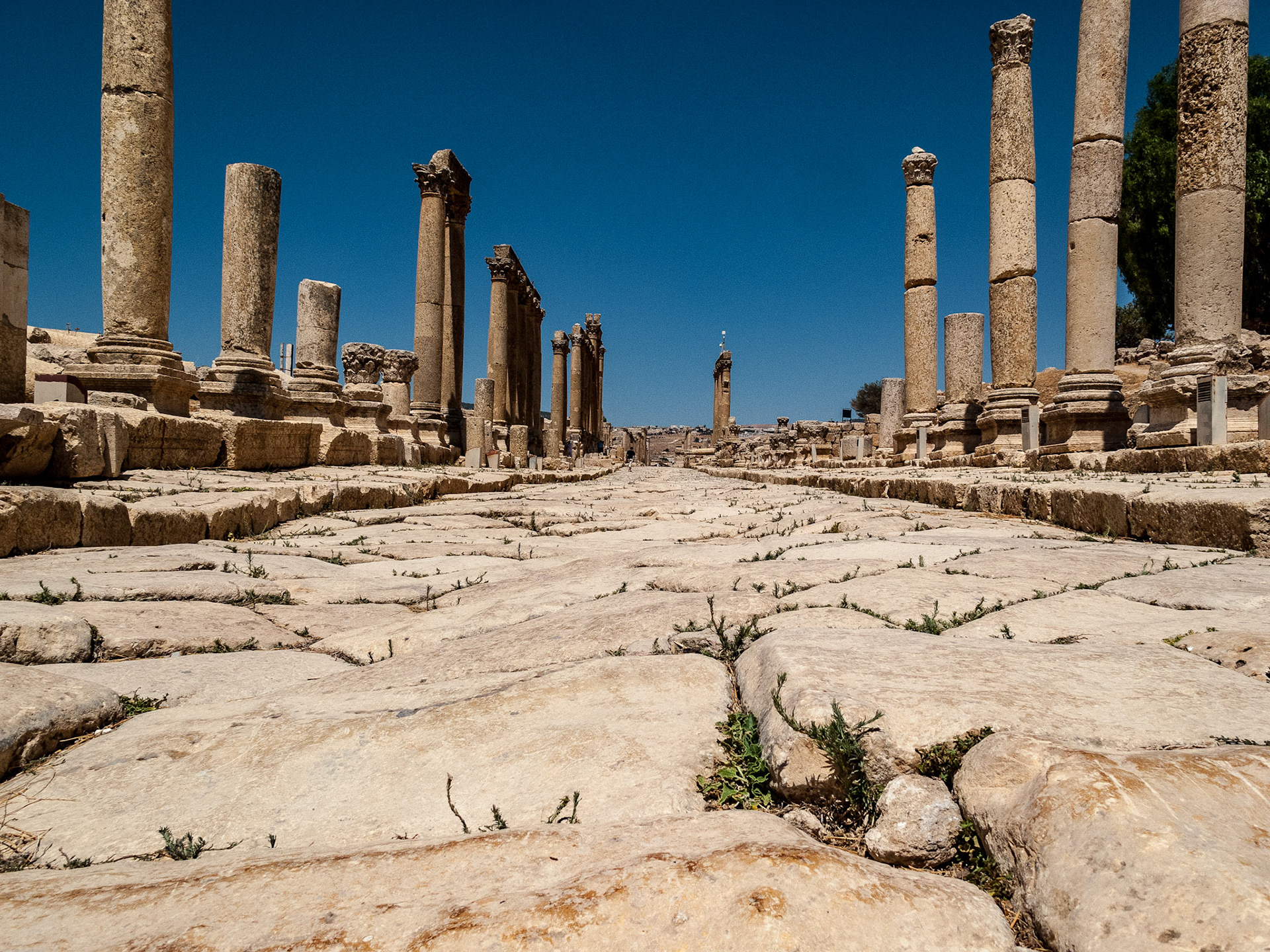 The Roman city of Gerasa, (Jerash).  August 2009