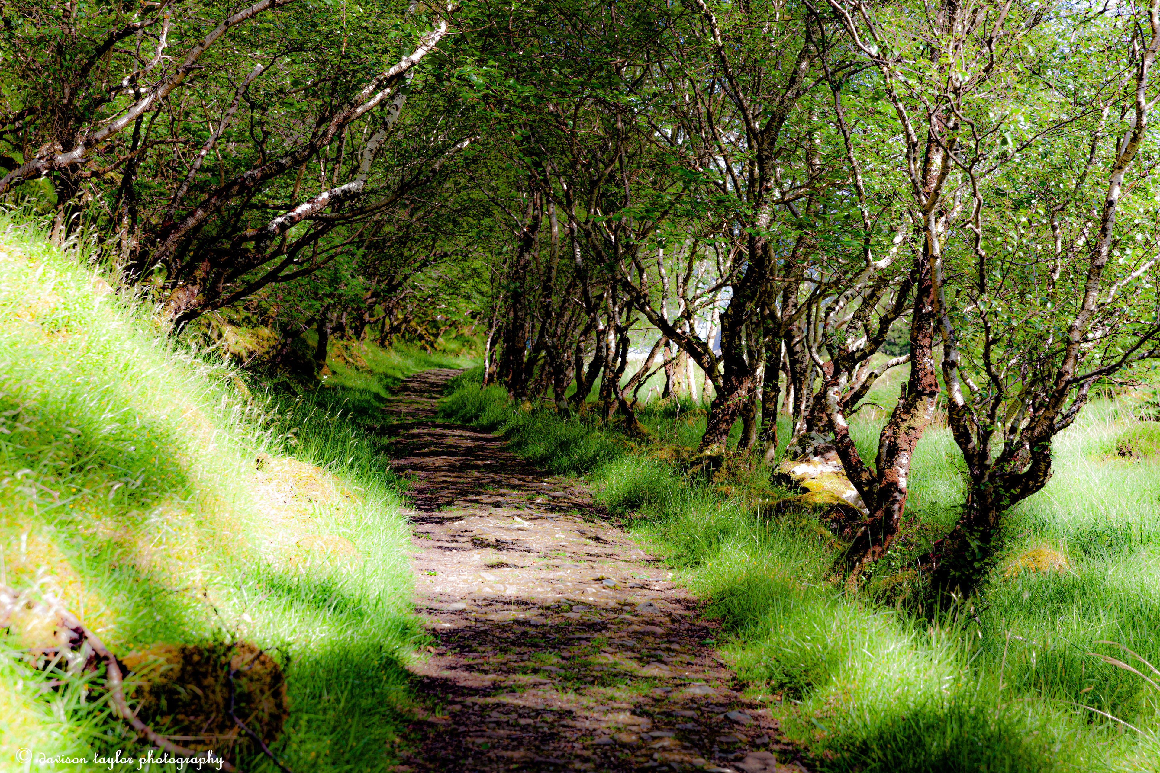 Route to Coral Beach
