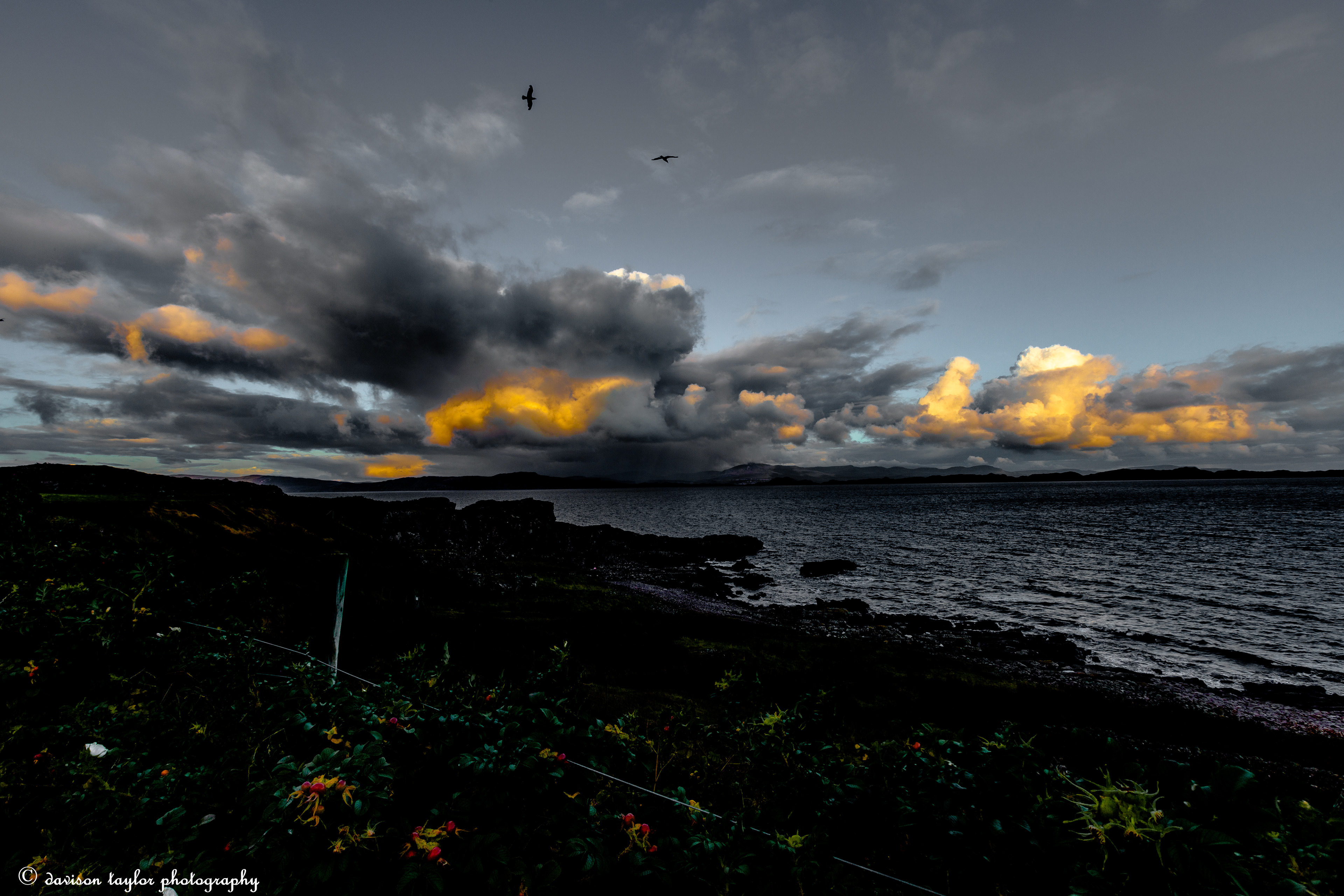 Moods of The Inner Sound from Lonbain