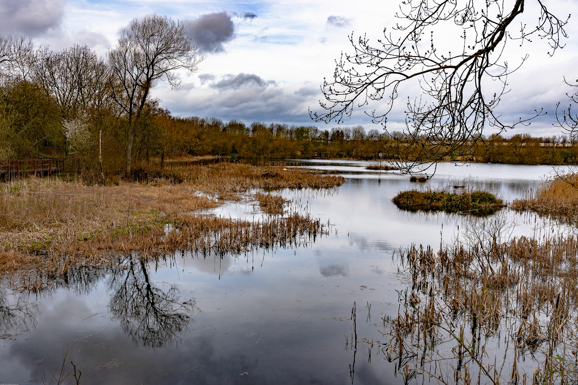 Joe's Pond
