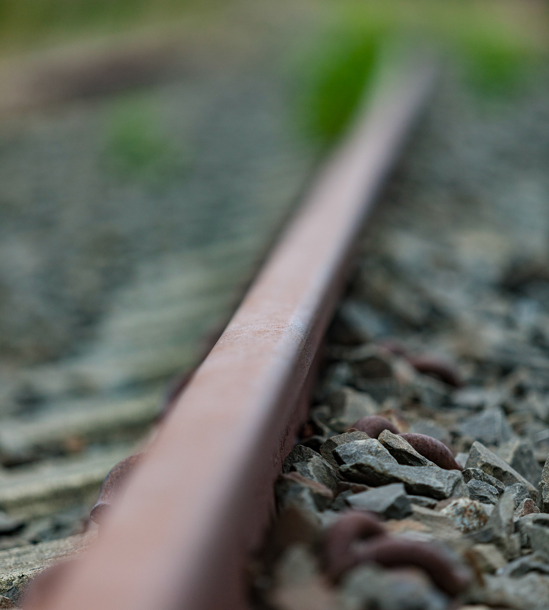 The old colliery line near to Sherburn Village, all gone now.