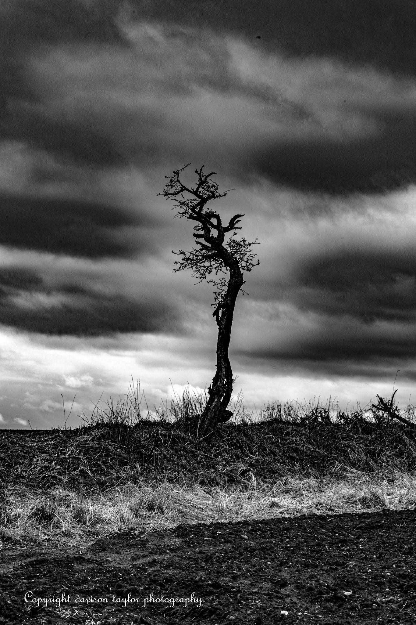 On farmland near Sherburn Village