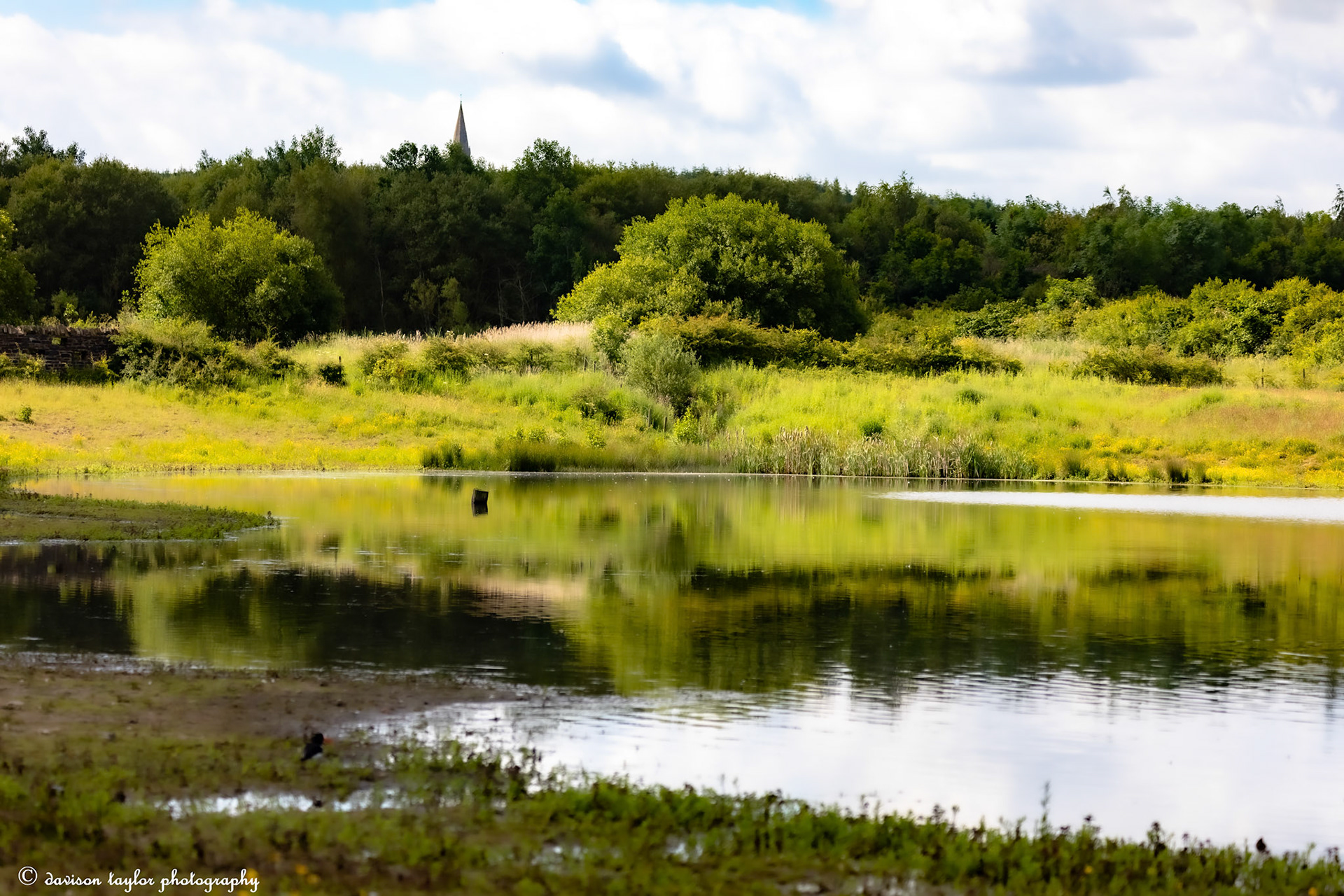 Pond 2 with Rainton Church in the background