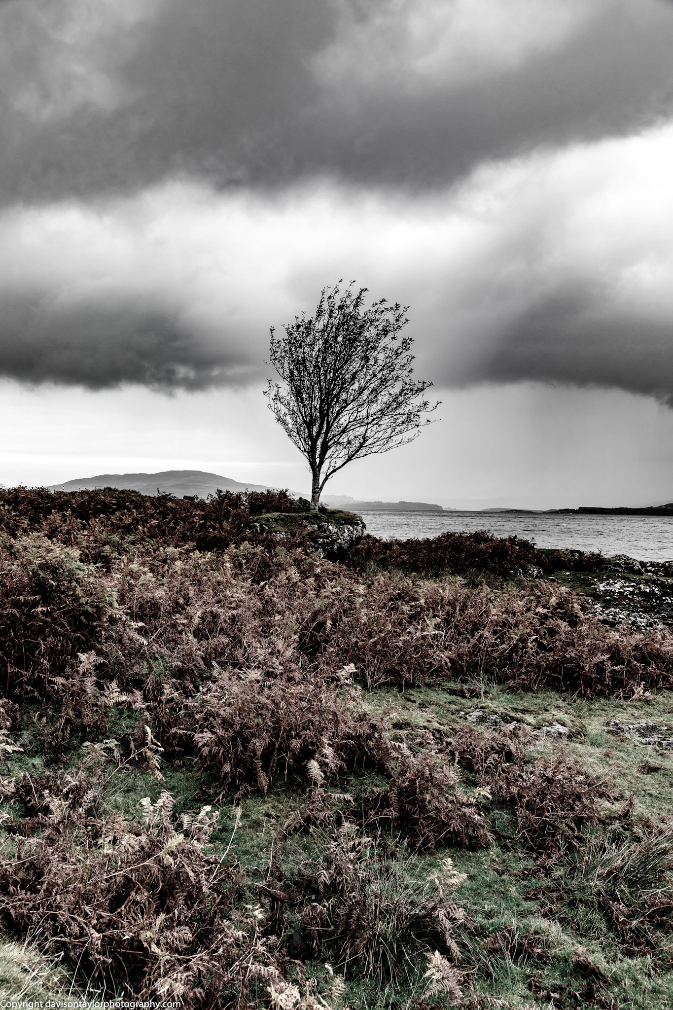 Weather beaten Mull