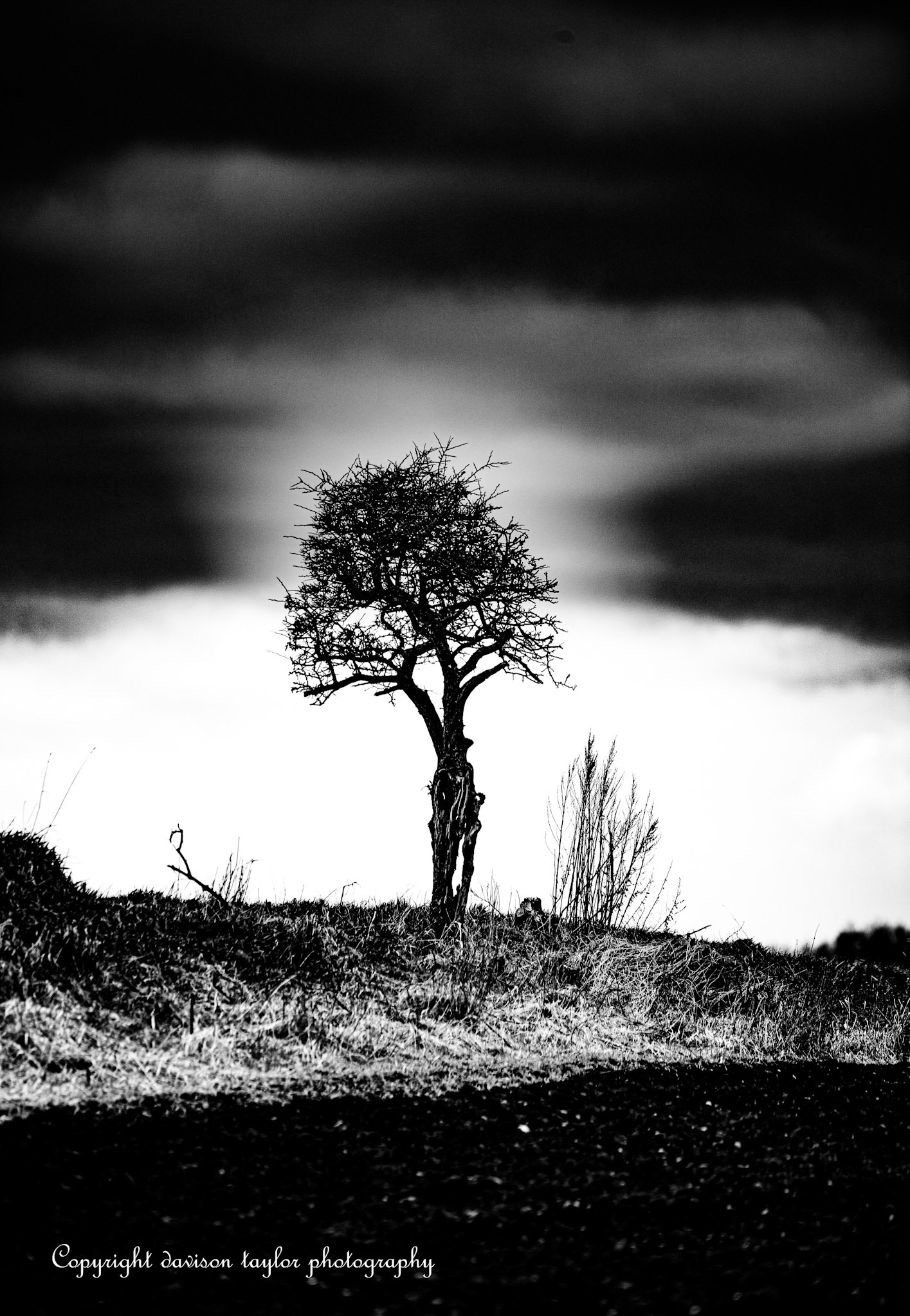 On farmland near Sherburn Village