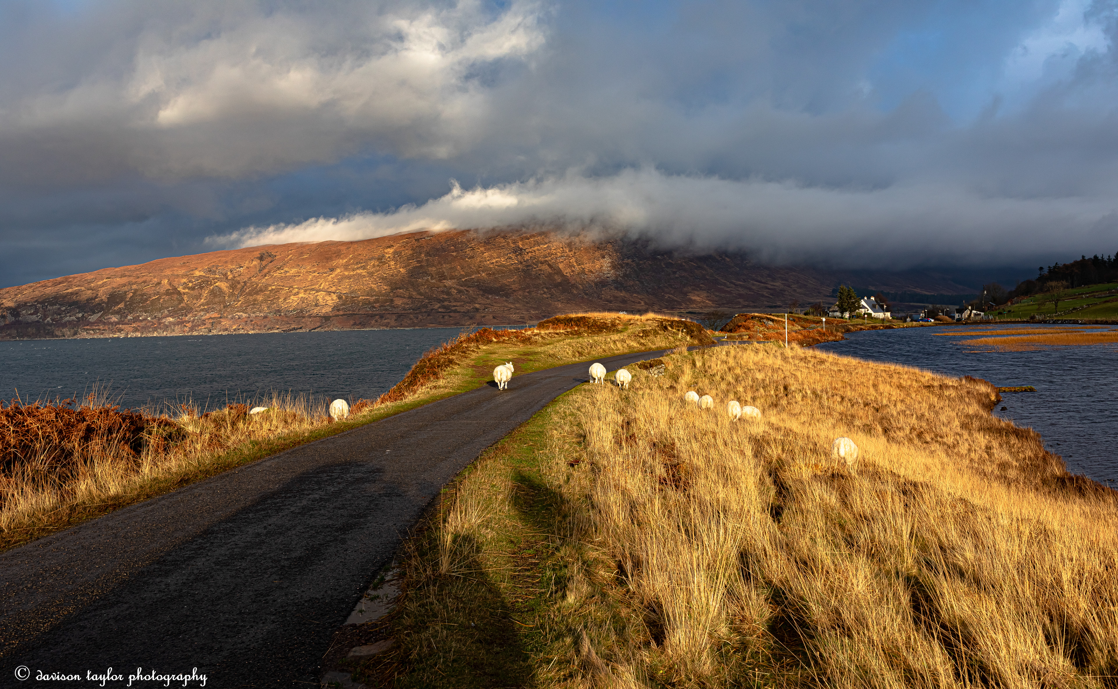 Milton looking at clouds above Applecross