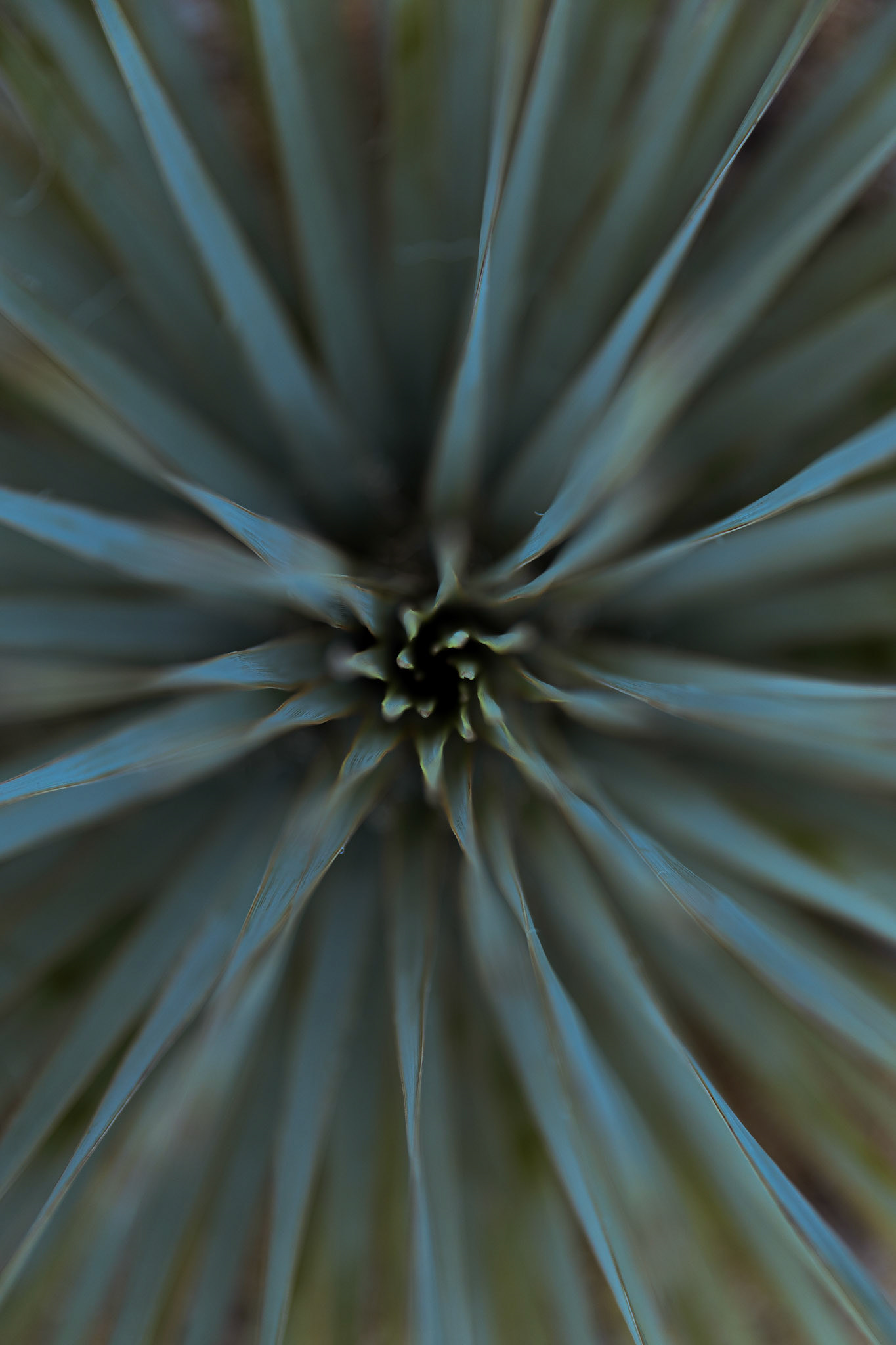 desert landscape photos on the way to Las Vegas from Phoenix for WPPI