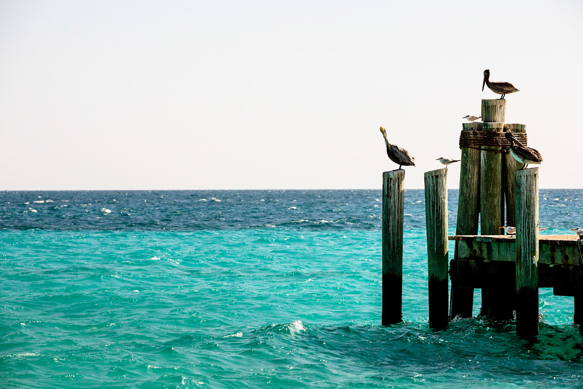 Off the coast of Key West, Florida are the Dry Tortugas where we photographed these adventure engagement portraits.  Photography by Jared Platt, Platt Photography.