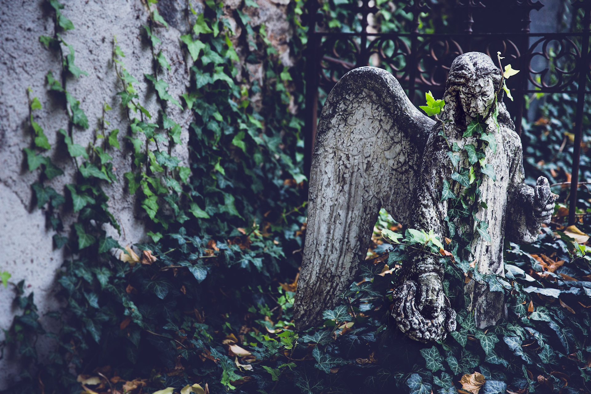 MZed Master Class in Prague 2016 with Jared Platt and Bob Davis