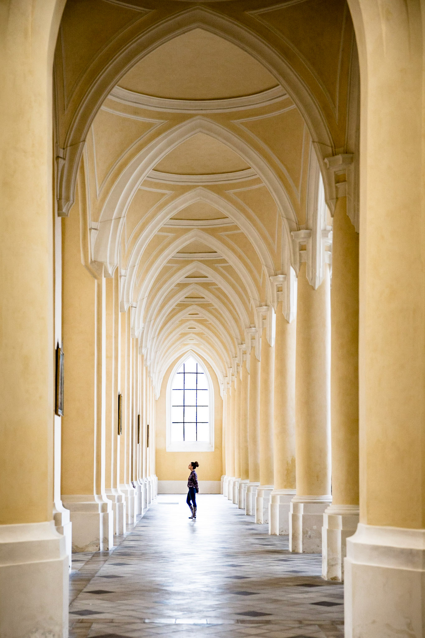 MZed Master Class in Prague 2016 with Jared Platt and Bob Davis