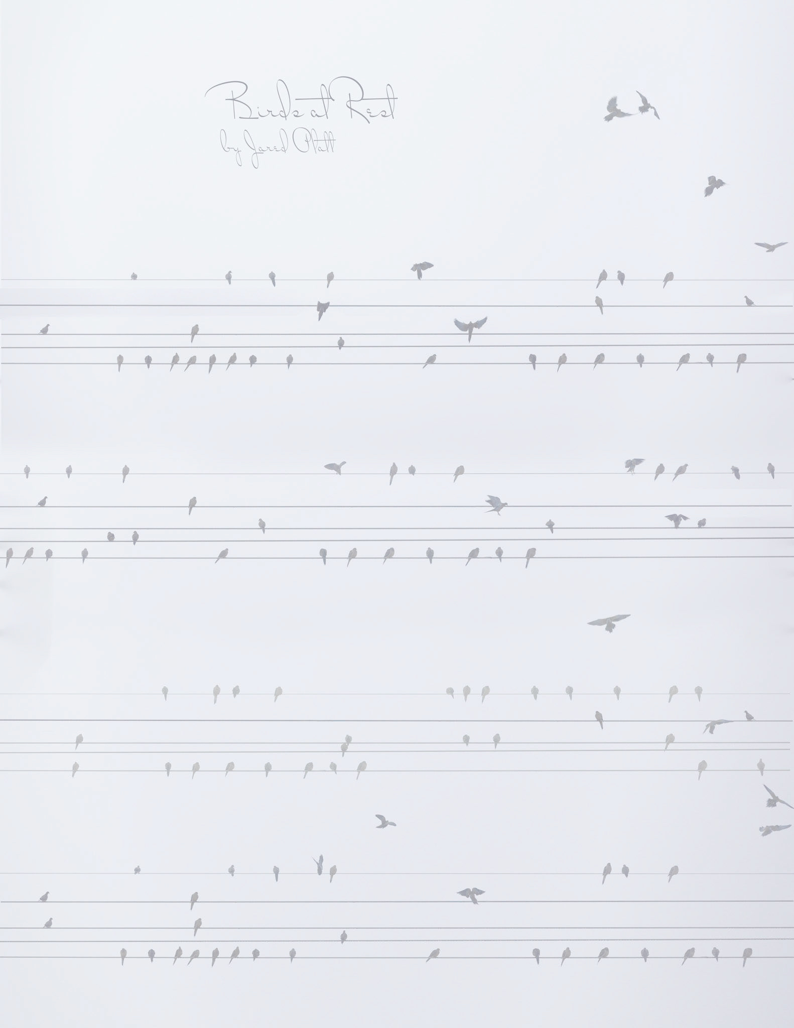 Song Birds