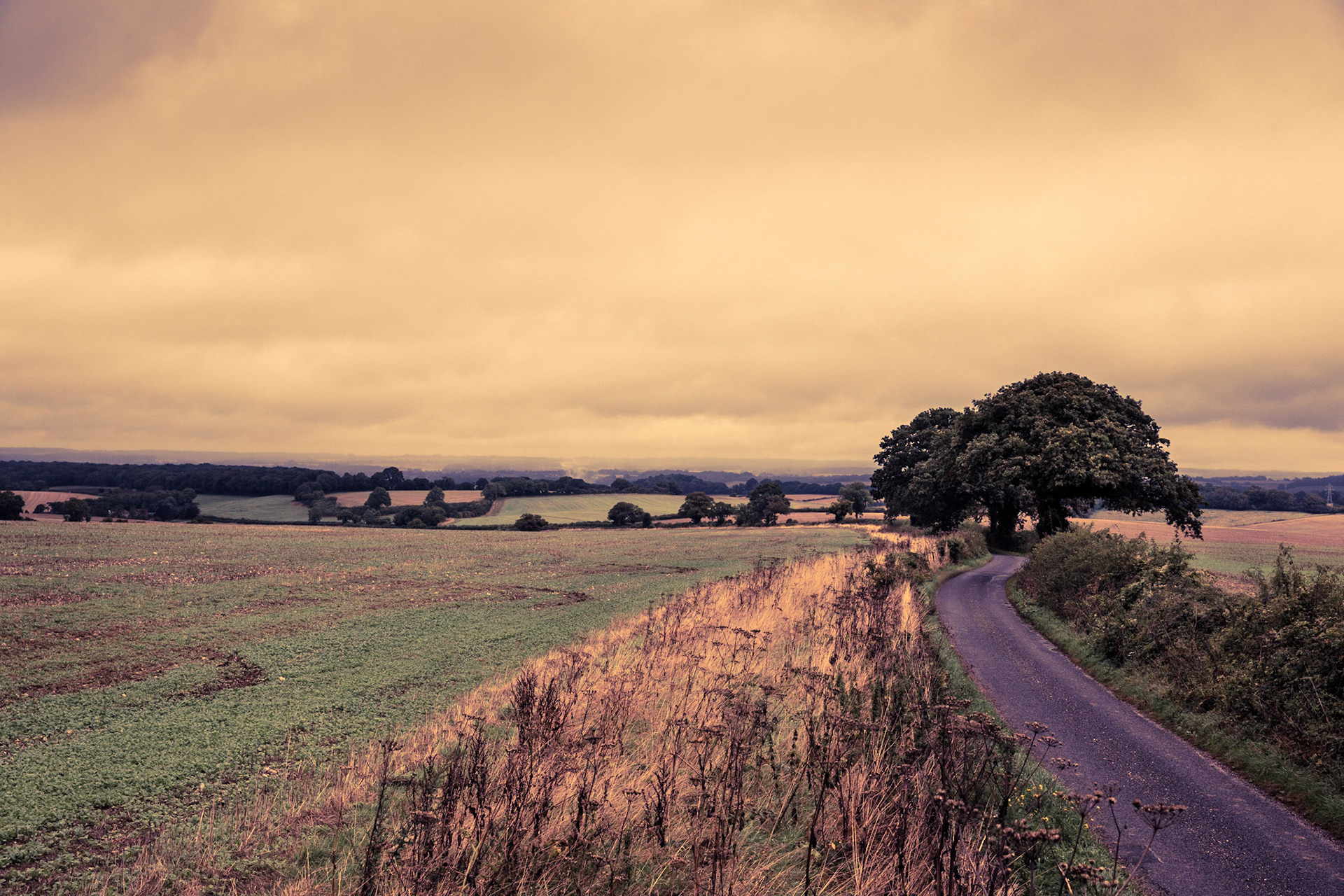 A side detour on my travels in South England during my recent trip there for a wedding in Sussex.