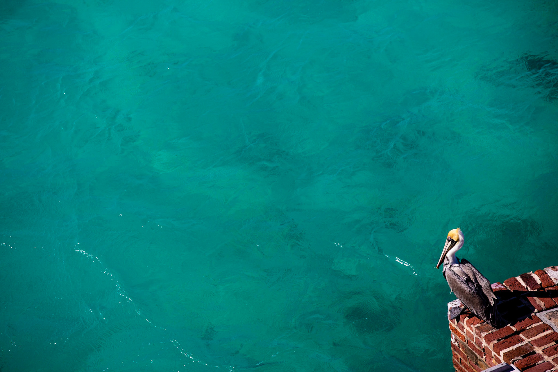 Off the coast of Key West, Florida are the Dry Tortugas where we photographed these adventure engagement portraits.  Photography by Jared Platt, Platt Photography.