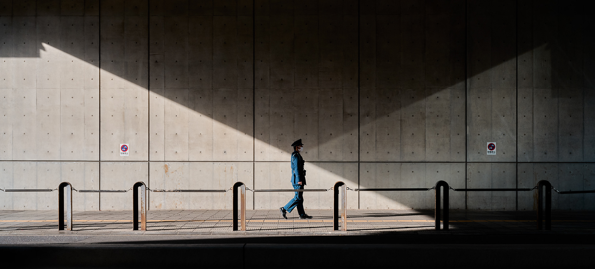 Crossing Light