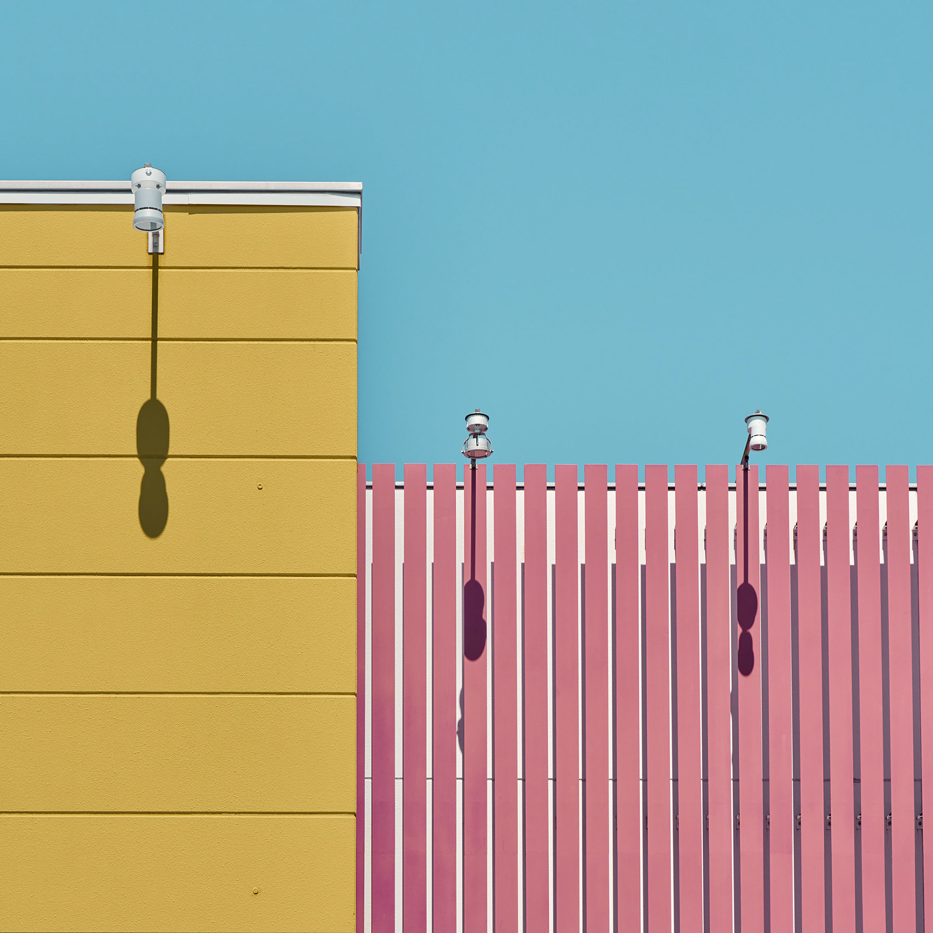 Pink and Yellow and Shadow