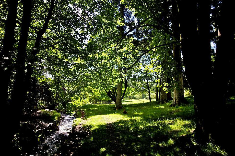 Nature