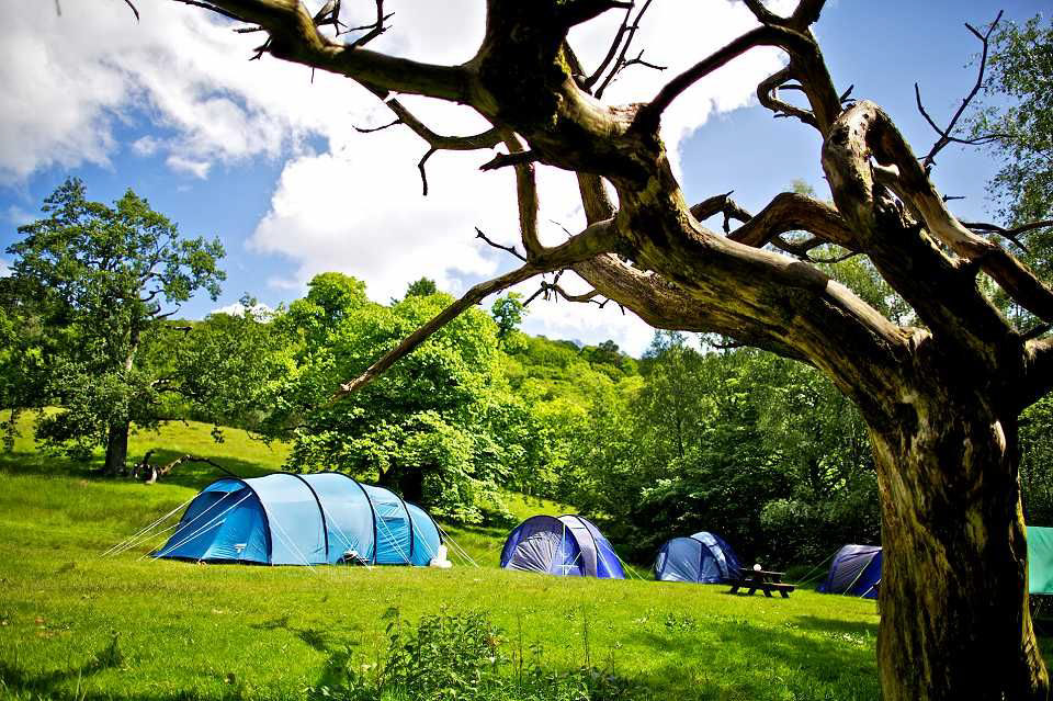 Camping Site