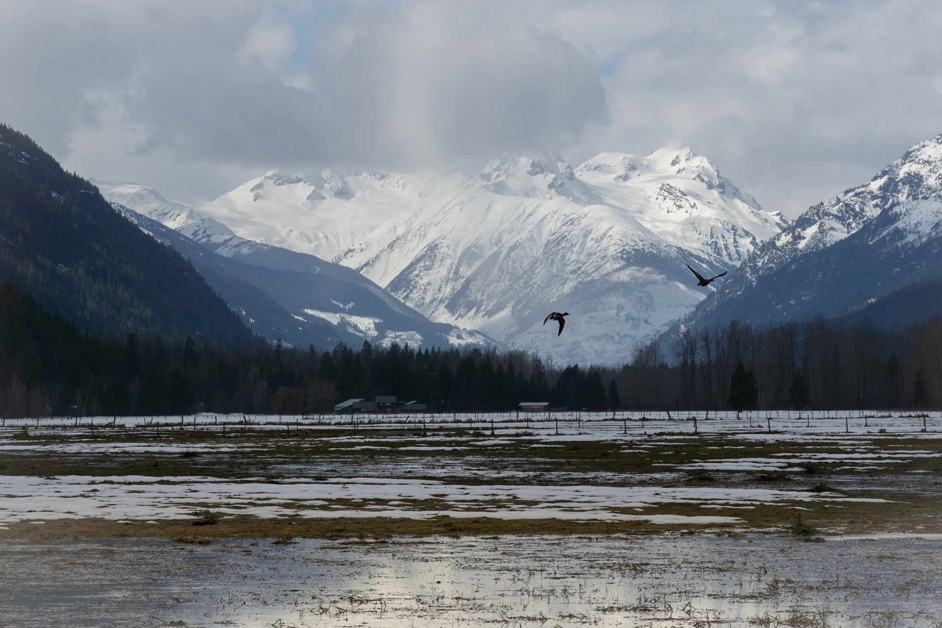 Mt. Meager Massif: an active volcano posing the largest volcanic threat to Canada