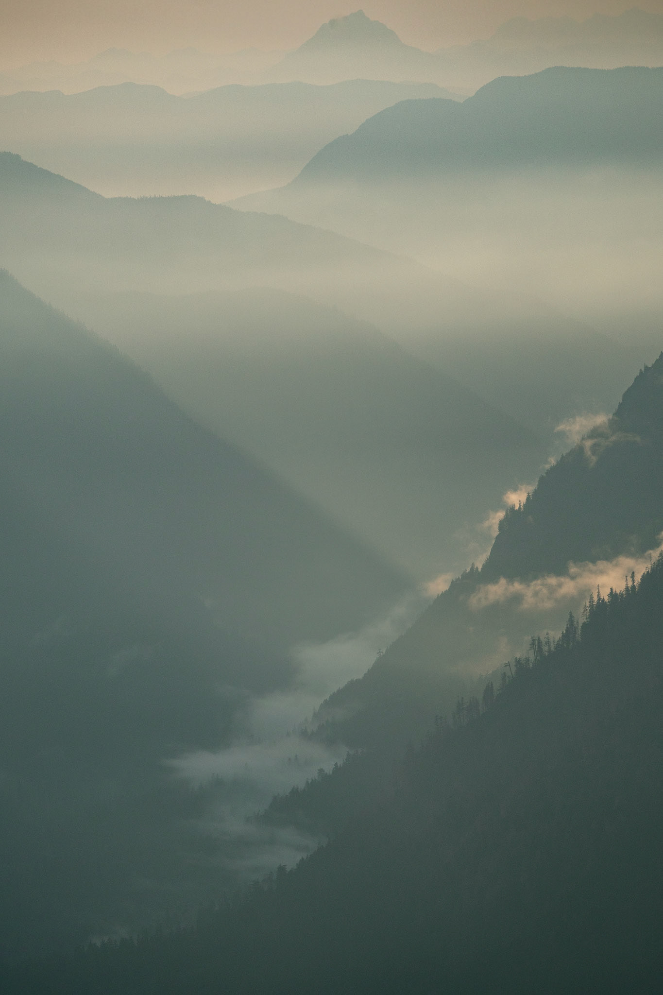 Sunset on Mt. Robie Reid