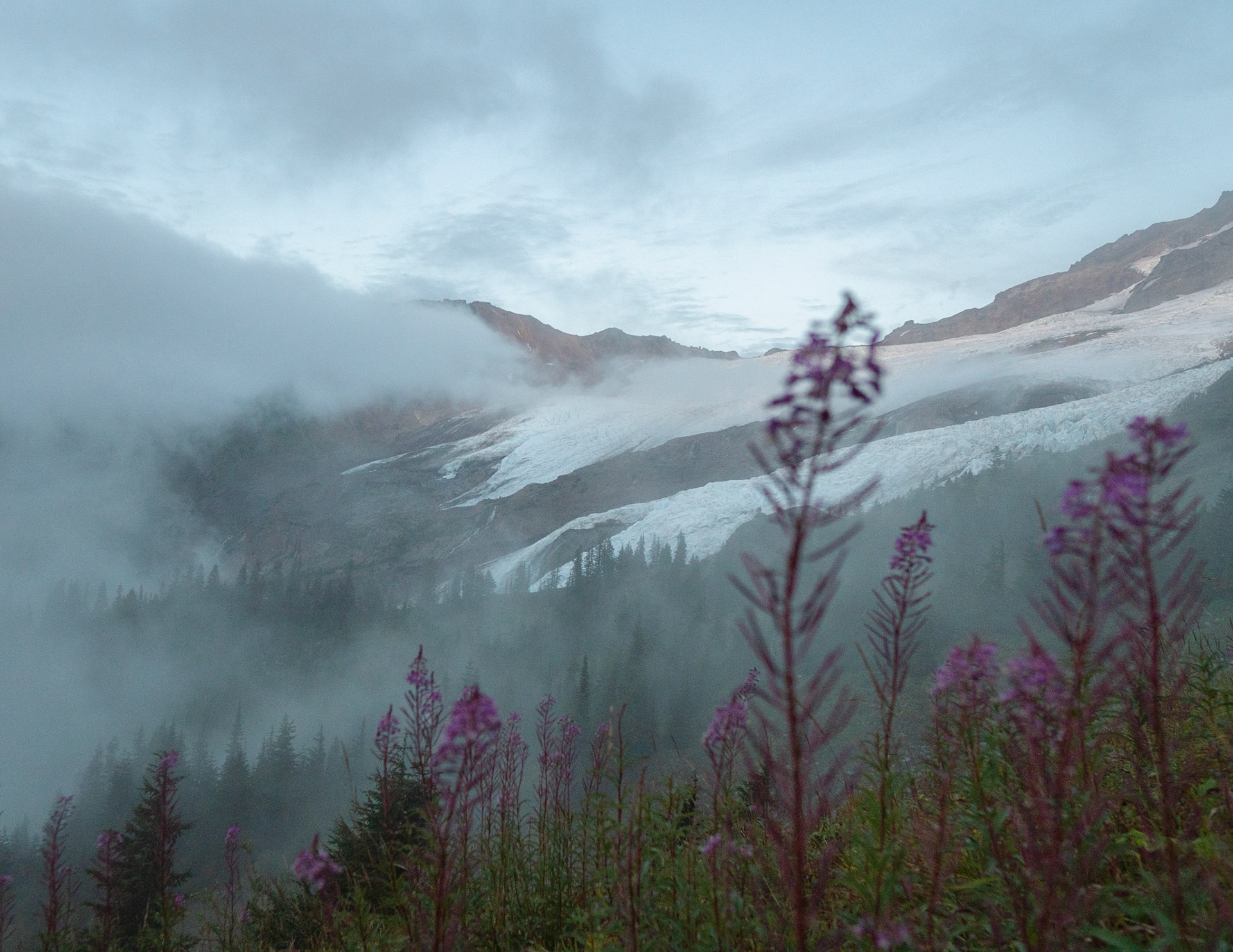 Coleman Glacier, Mt. Baker