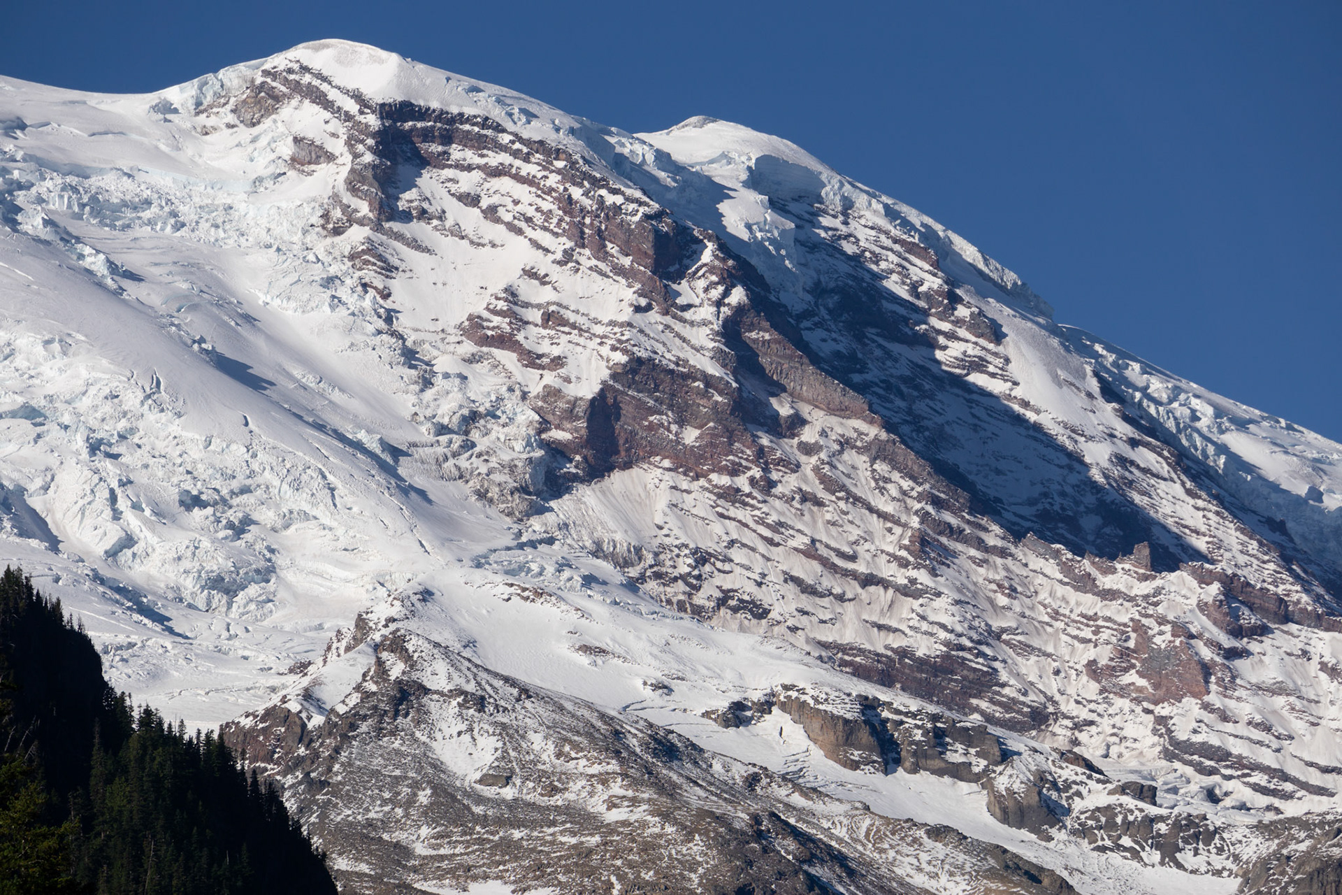 Mount Rainier National Park