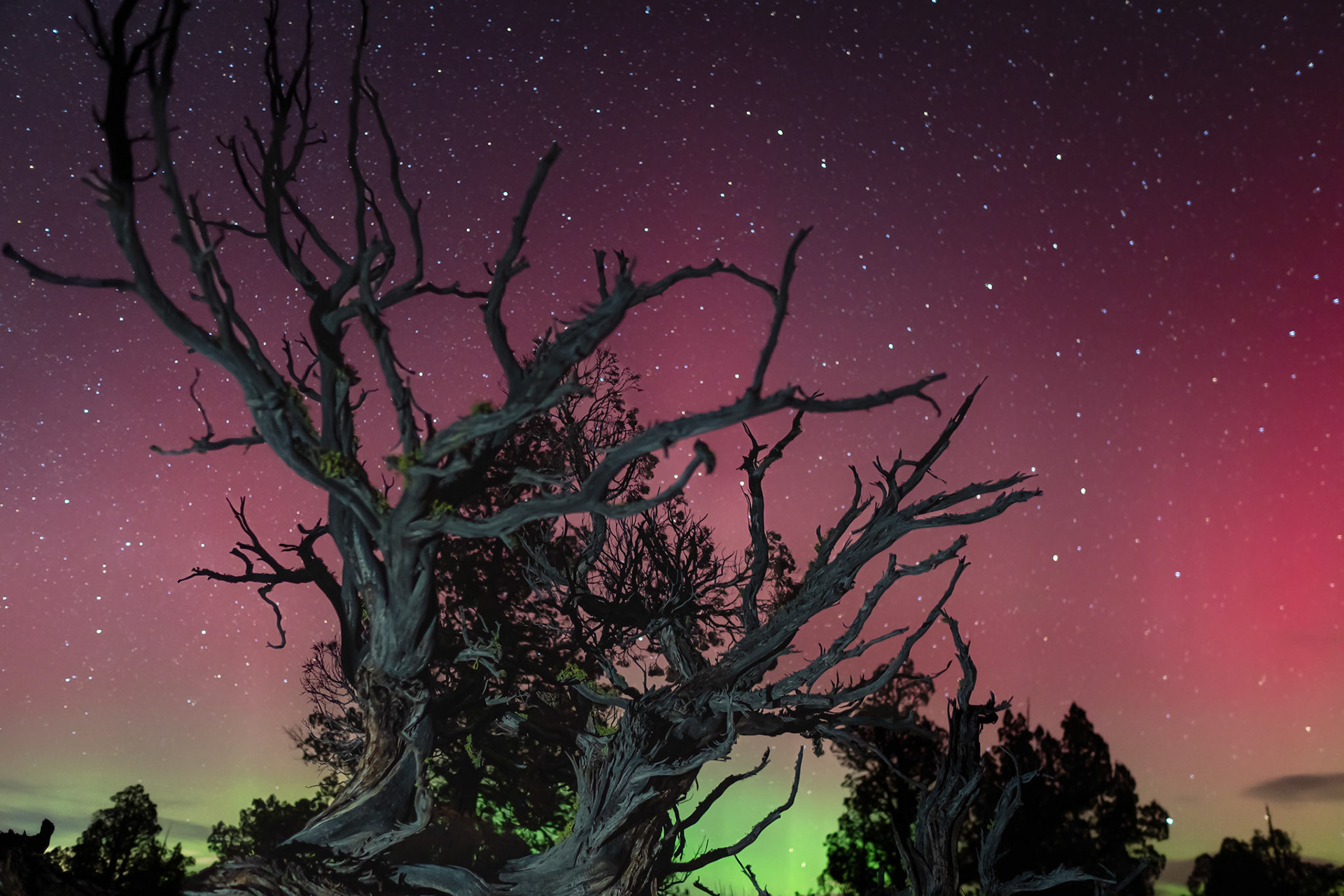 Aurora Borealis seen in the Oregon Badlands Wilderness