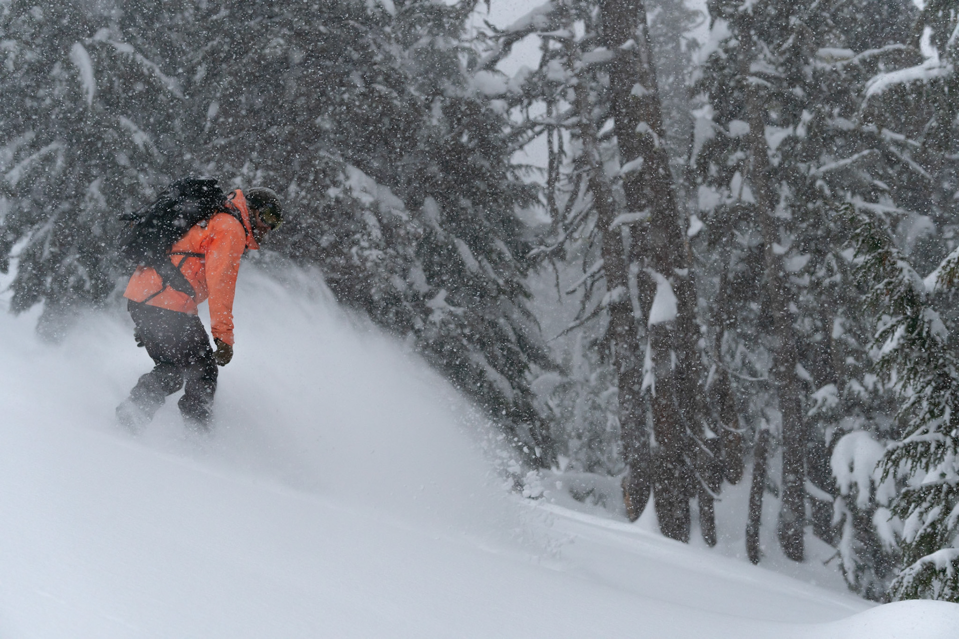 Storm day on Todd Ridge