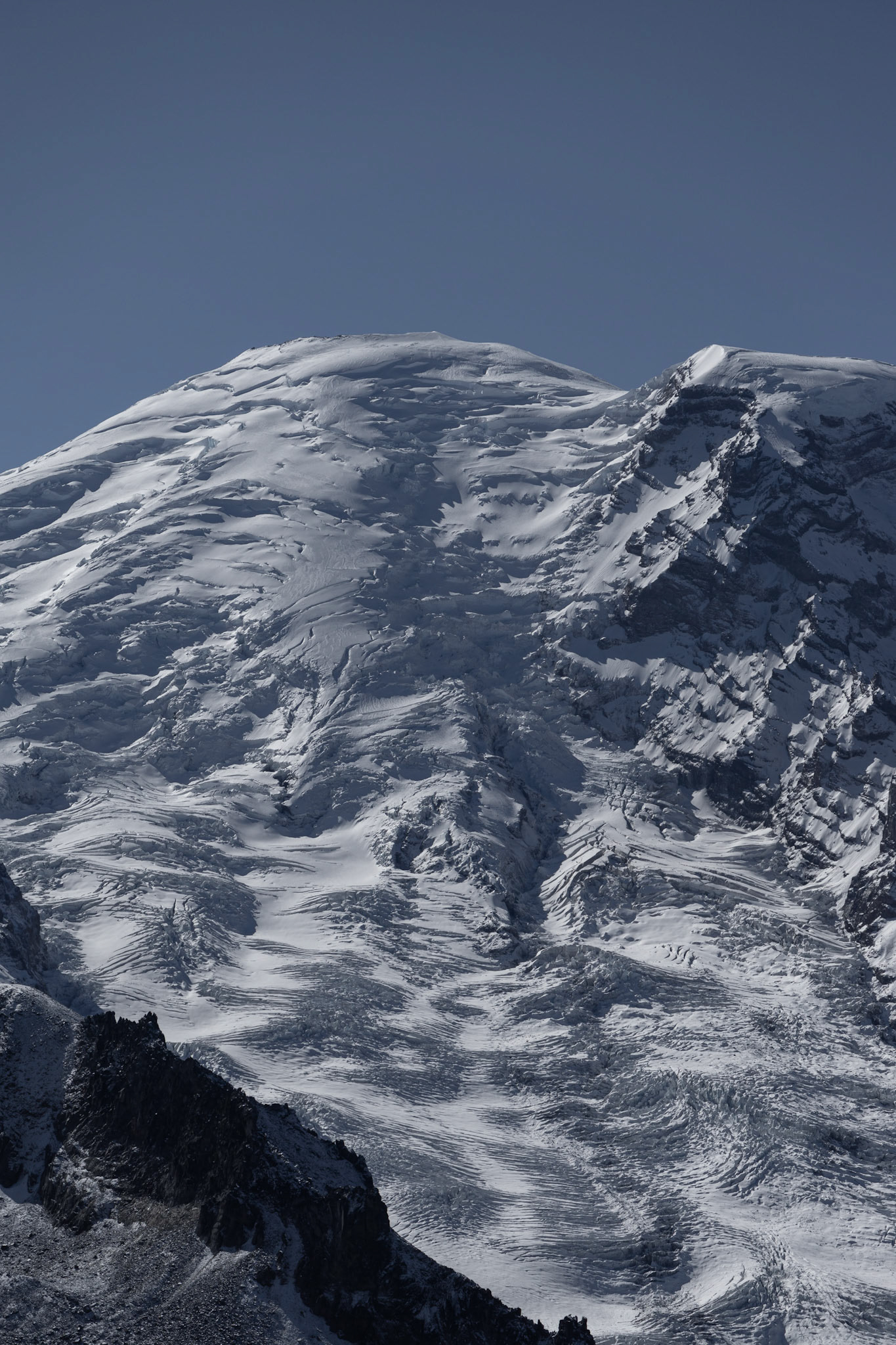 Fresh snow on Mt. Rainier seen from Sunrsise