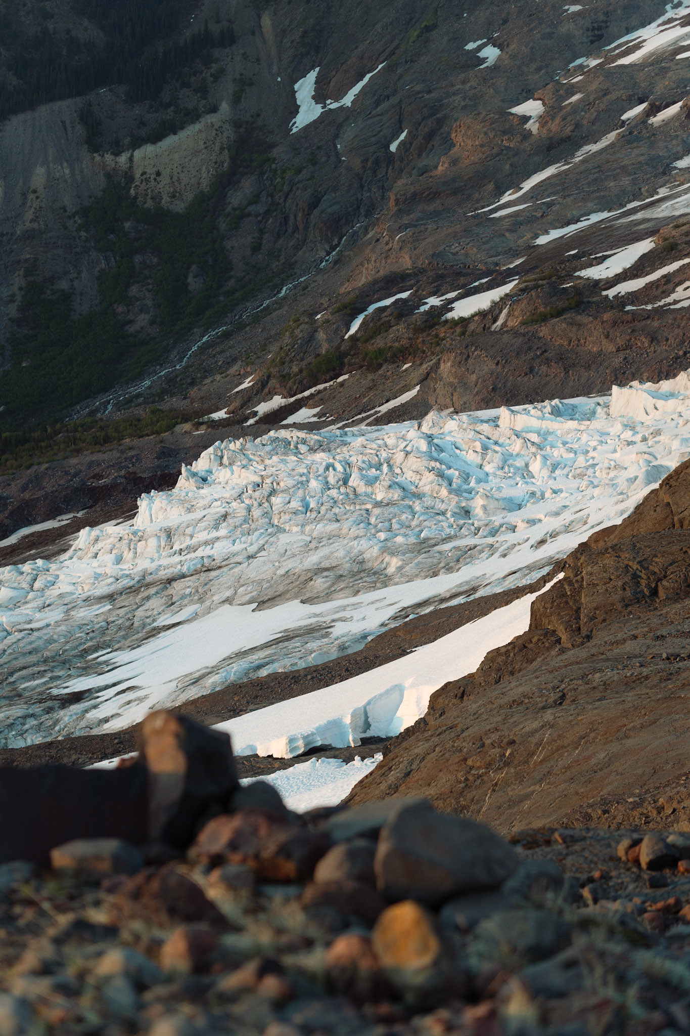 Lower Coleman Glacier