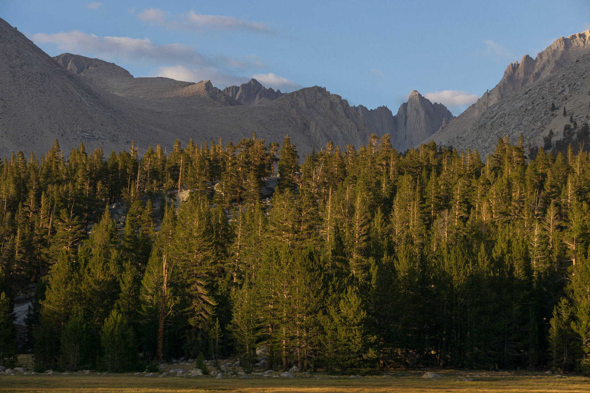 Crabtree Meadow