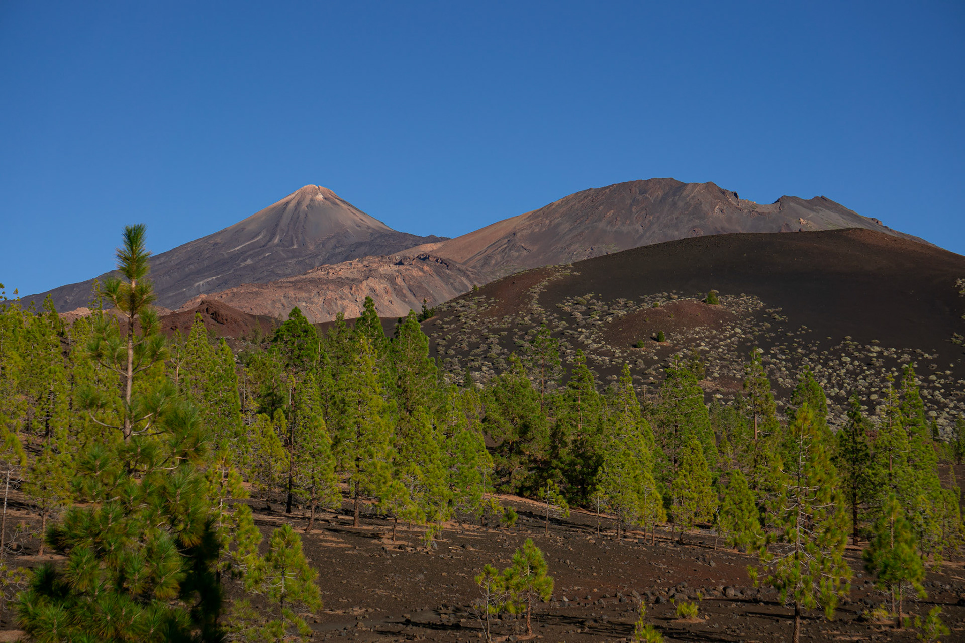 Parque Nacional del Teide