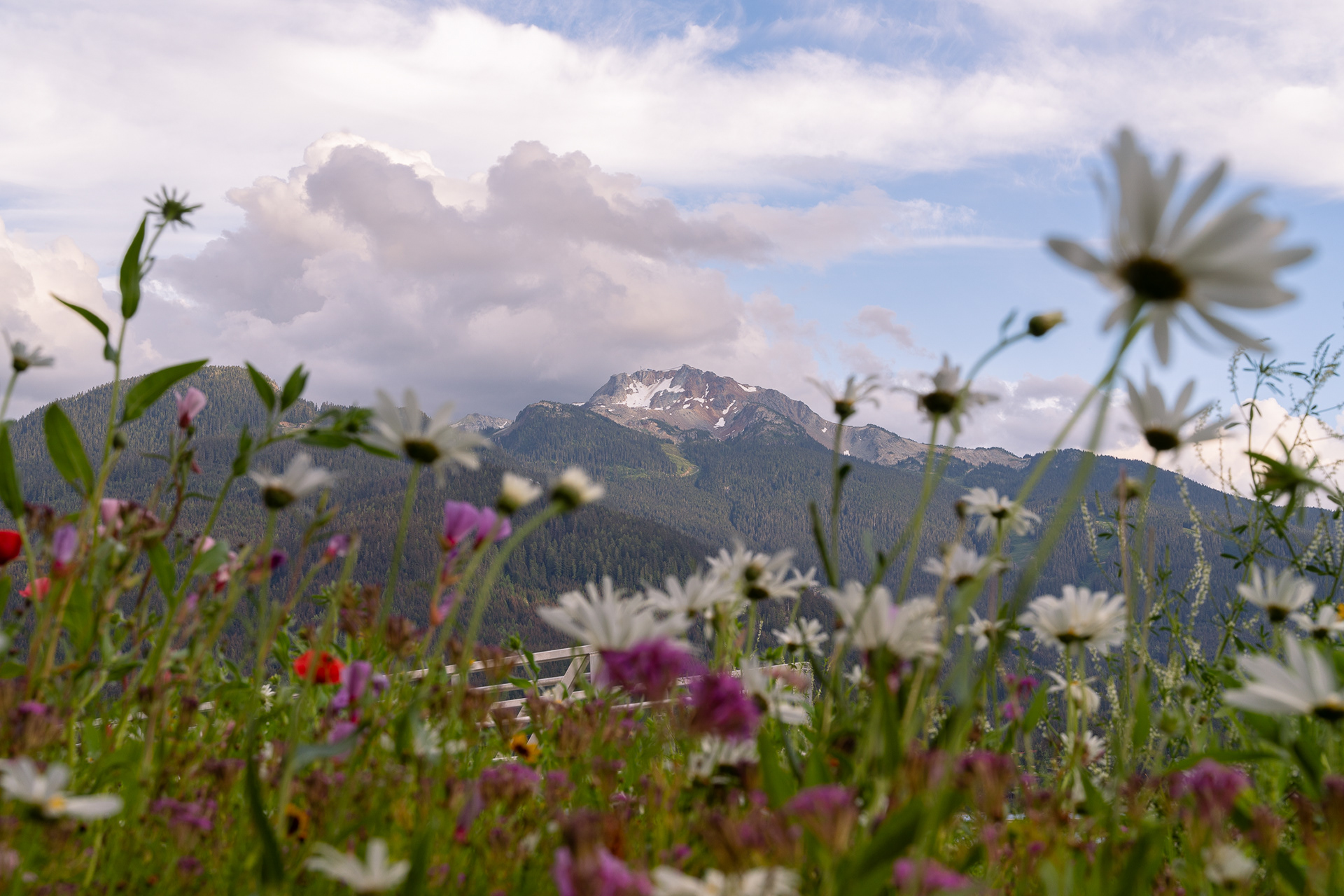 Whistler Peak