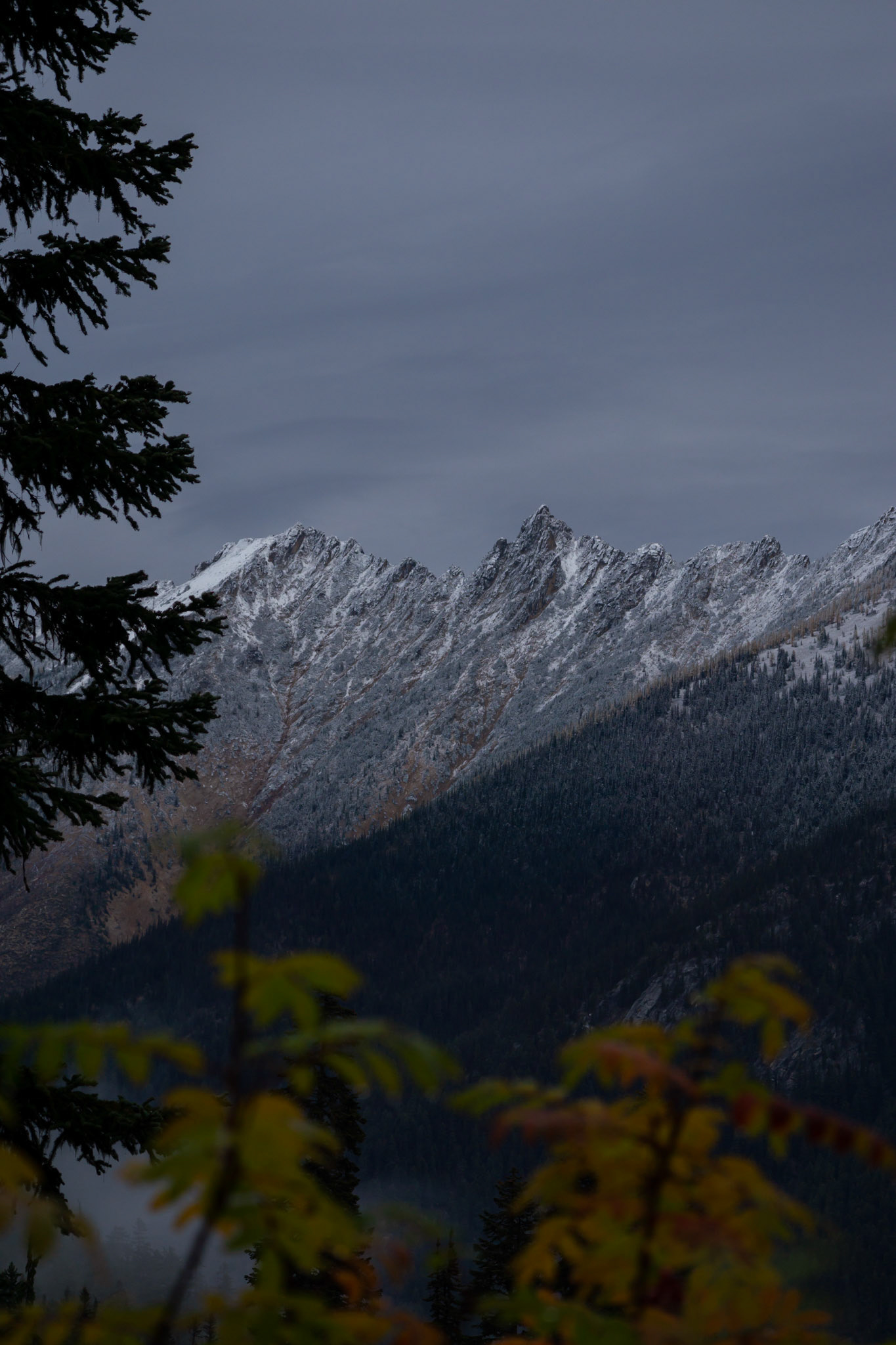 Fall colors & first snowfall of the year