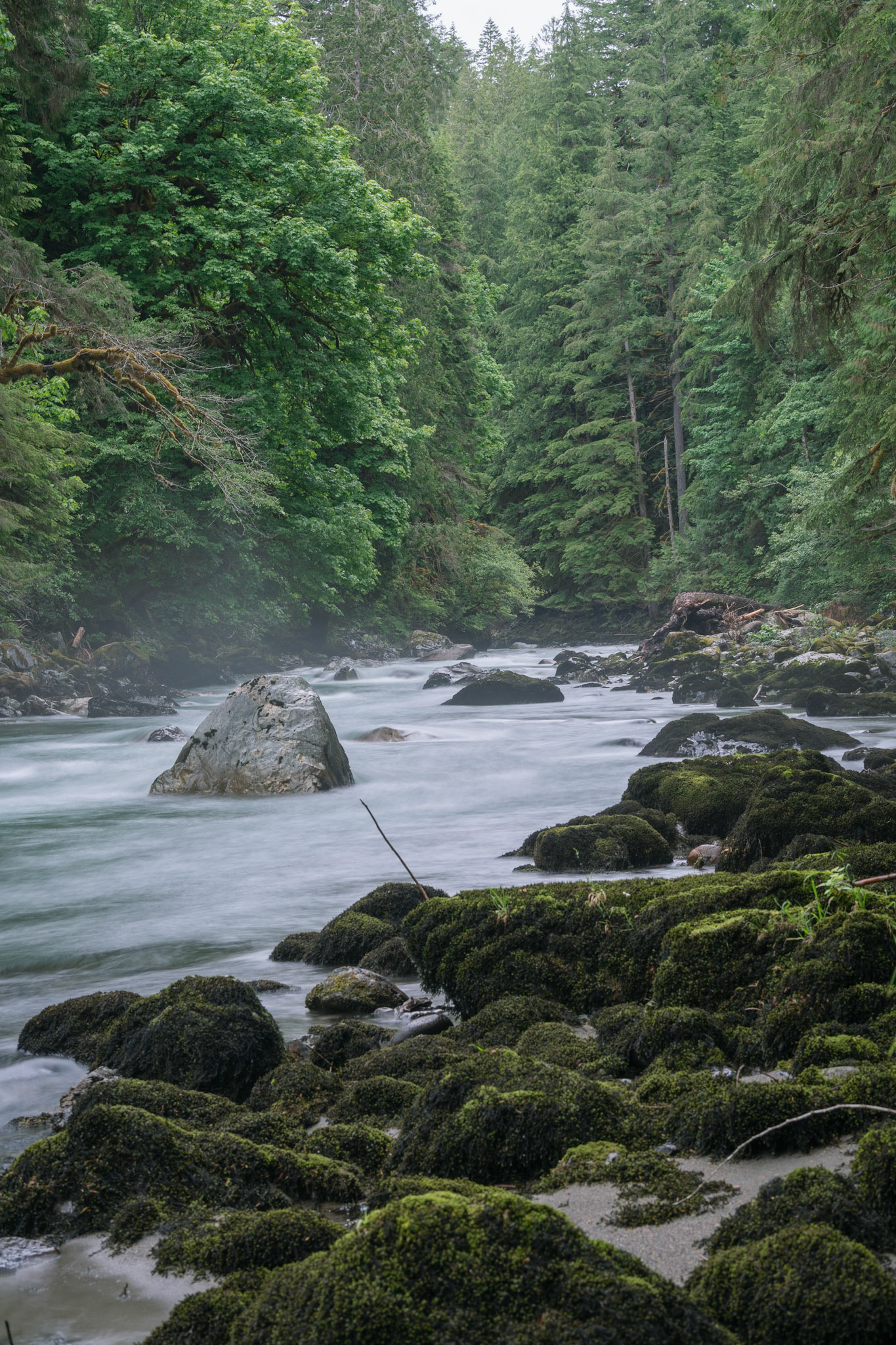 Nooksack River